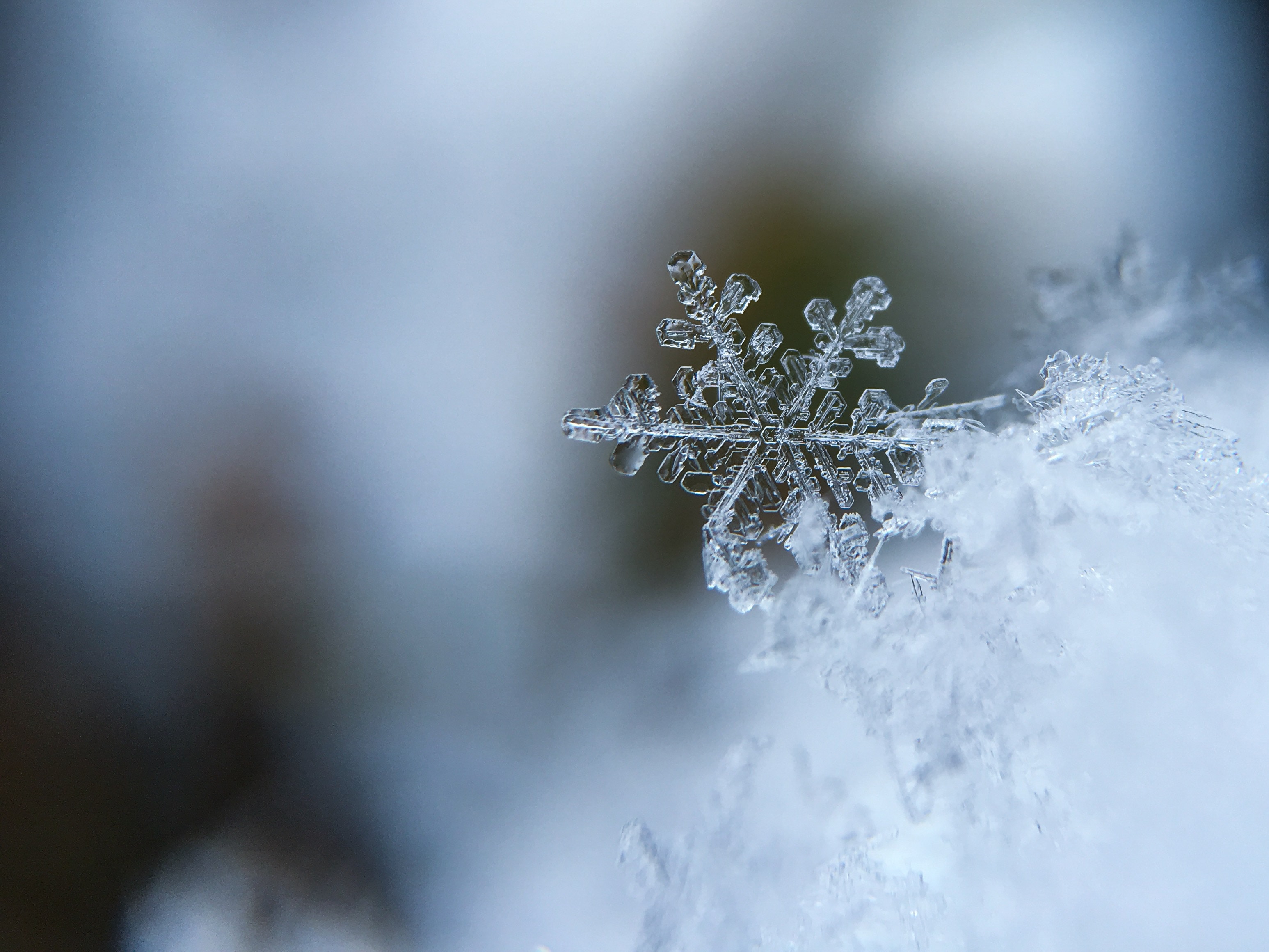 Snowflake - photo by Aaron Burden- Unsplash. Driving to the mountains.
