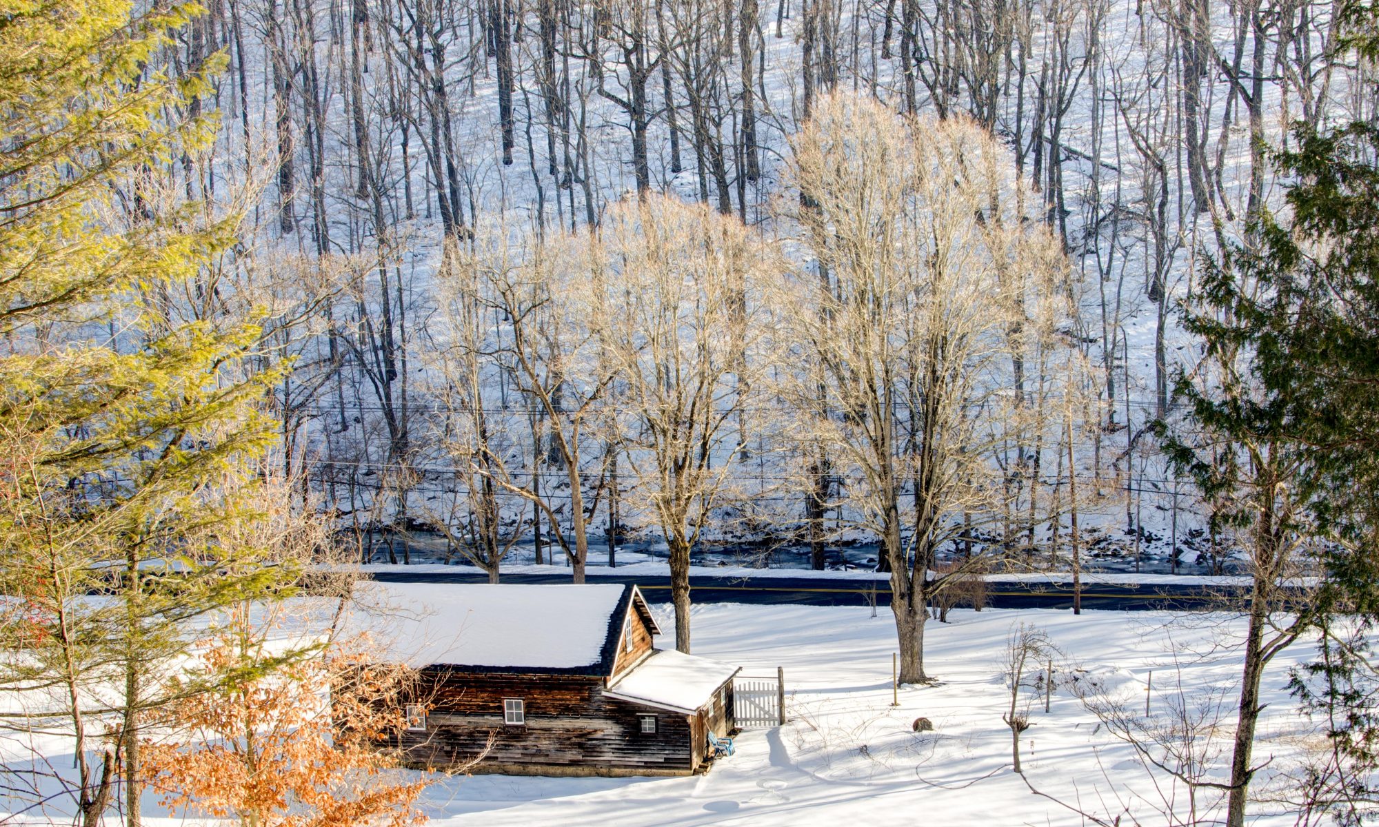 Snowy landscape - Photo by Khurt Williams - Unsplash. Driving to the mountains.