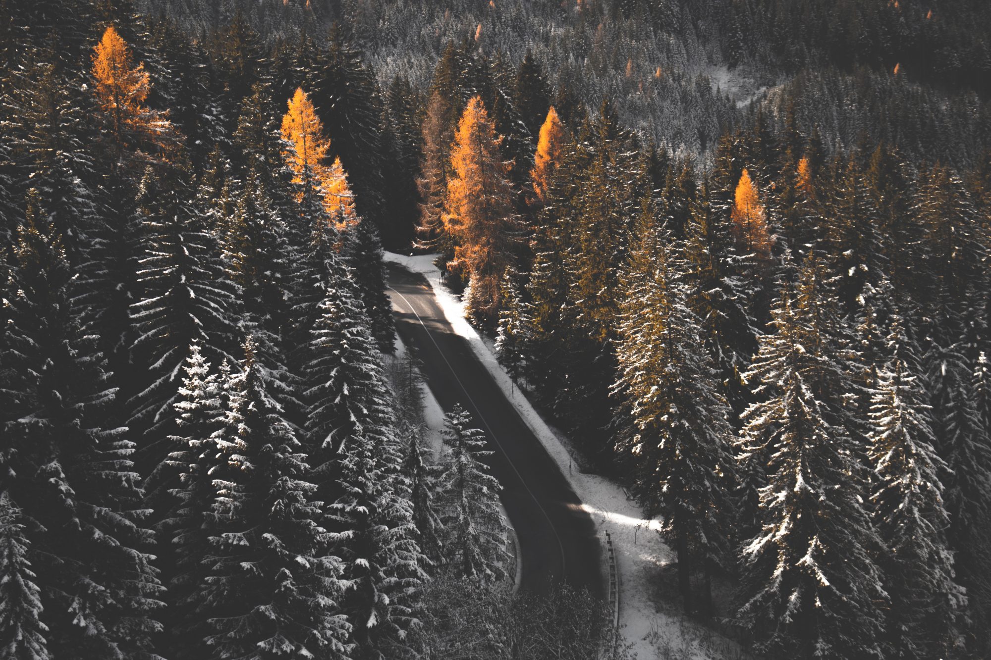 Snowy road - Photo Daniel Plan - Unsplash. Driving to the mountains.