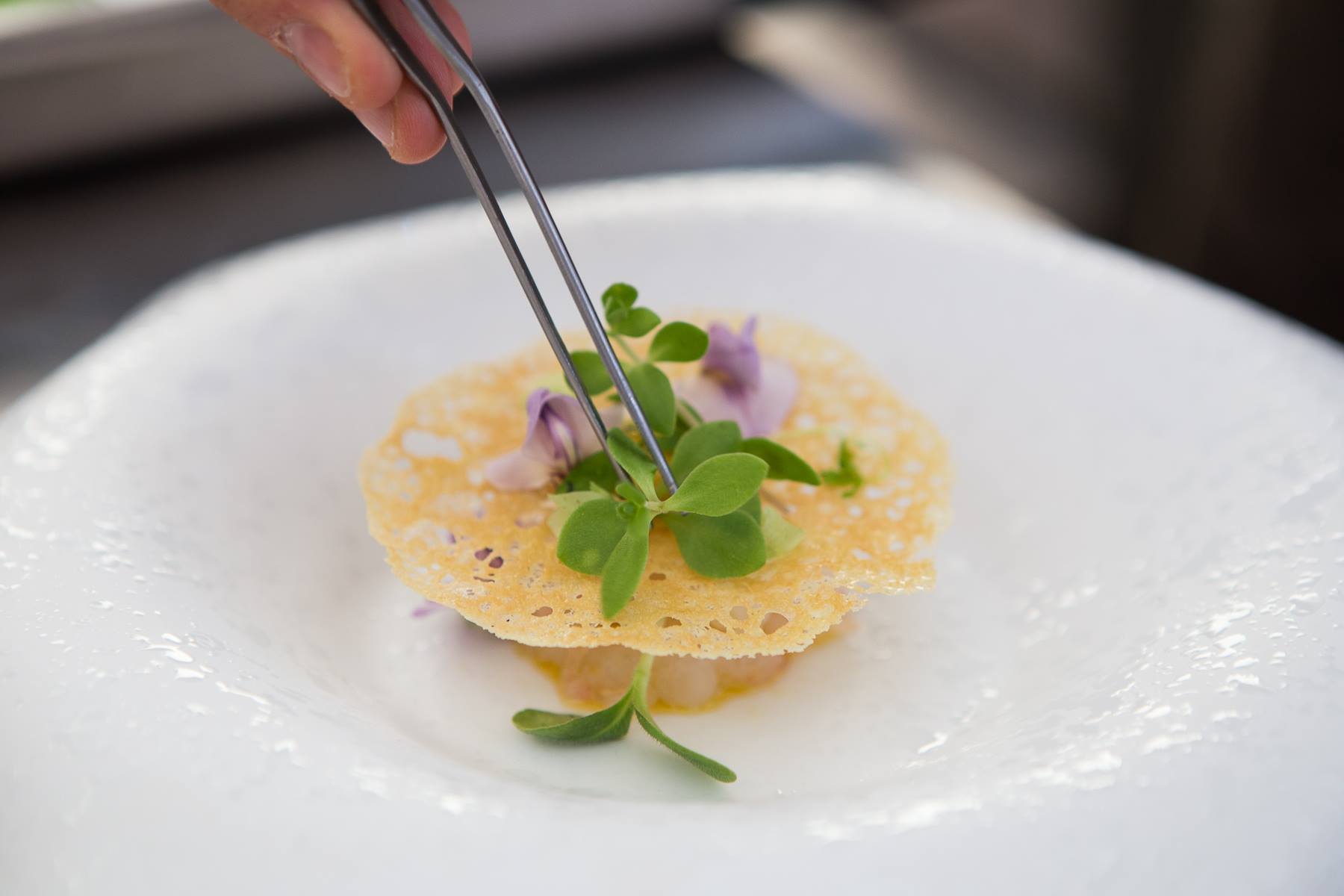 Top chefs get together at Taste of Courmayeur - magnificent setting, magnificent food!