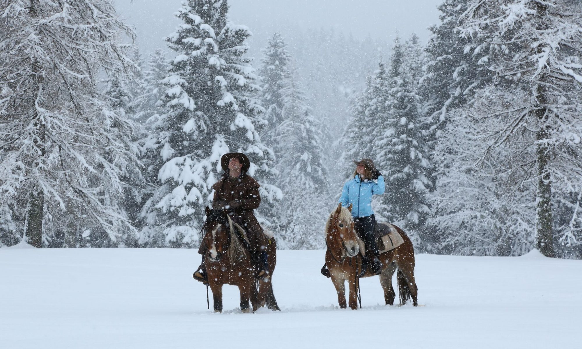 Alpe Cimbra resort - Fancy a bit of horse-riding through the snowy forests? Photo by: Azienda per il Turismo Folgaria Lavarone Lusérn