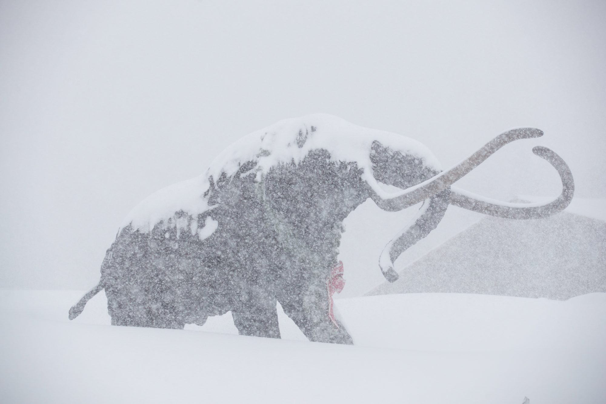 Mammoth Mountain - Photo by Alterra Mtn Co. 