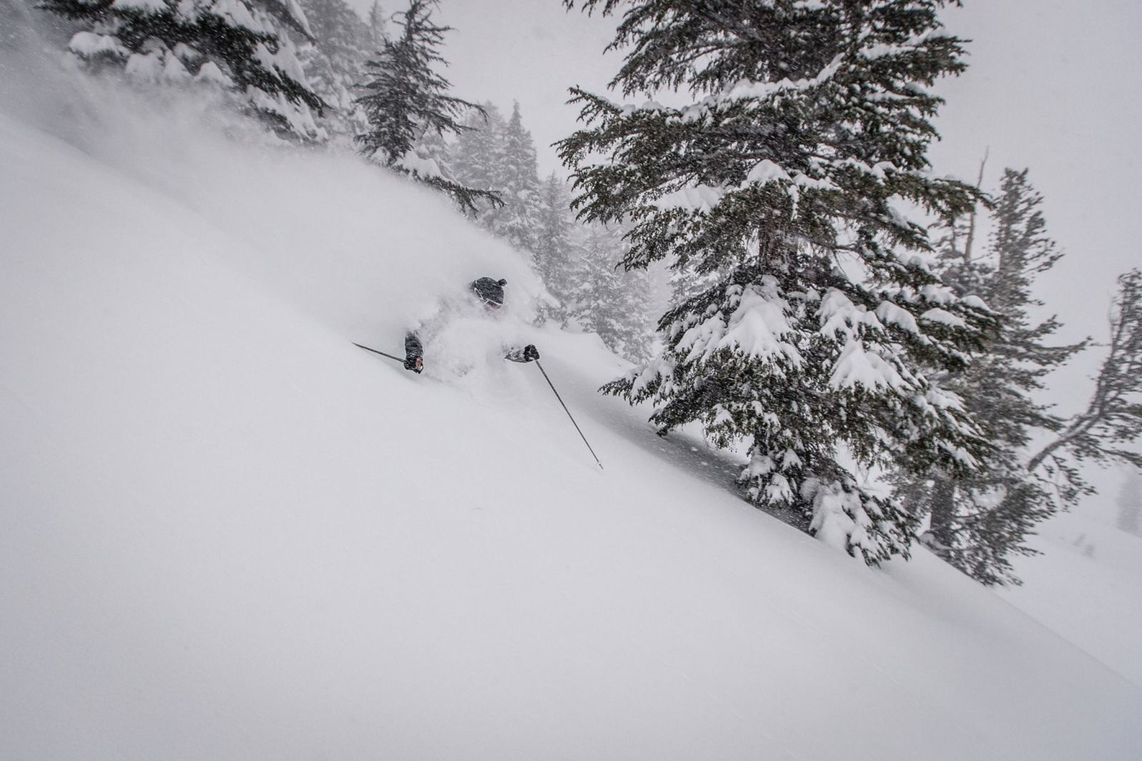 Mountain Collective pass has a collection of 16 resorts - 2 days per resort plus a third day on the resort of your choice- Mammoth Mountain - Photo: Mountain Collective.