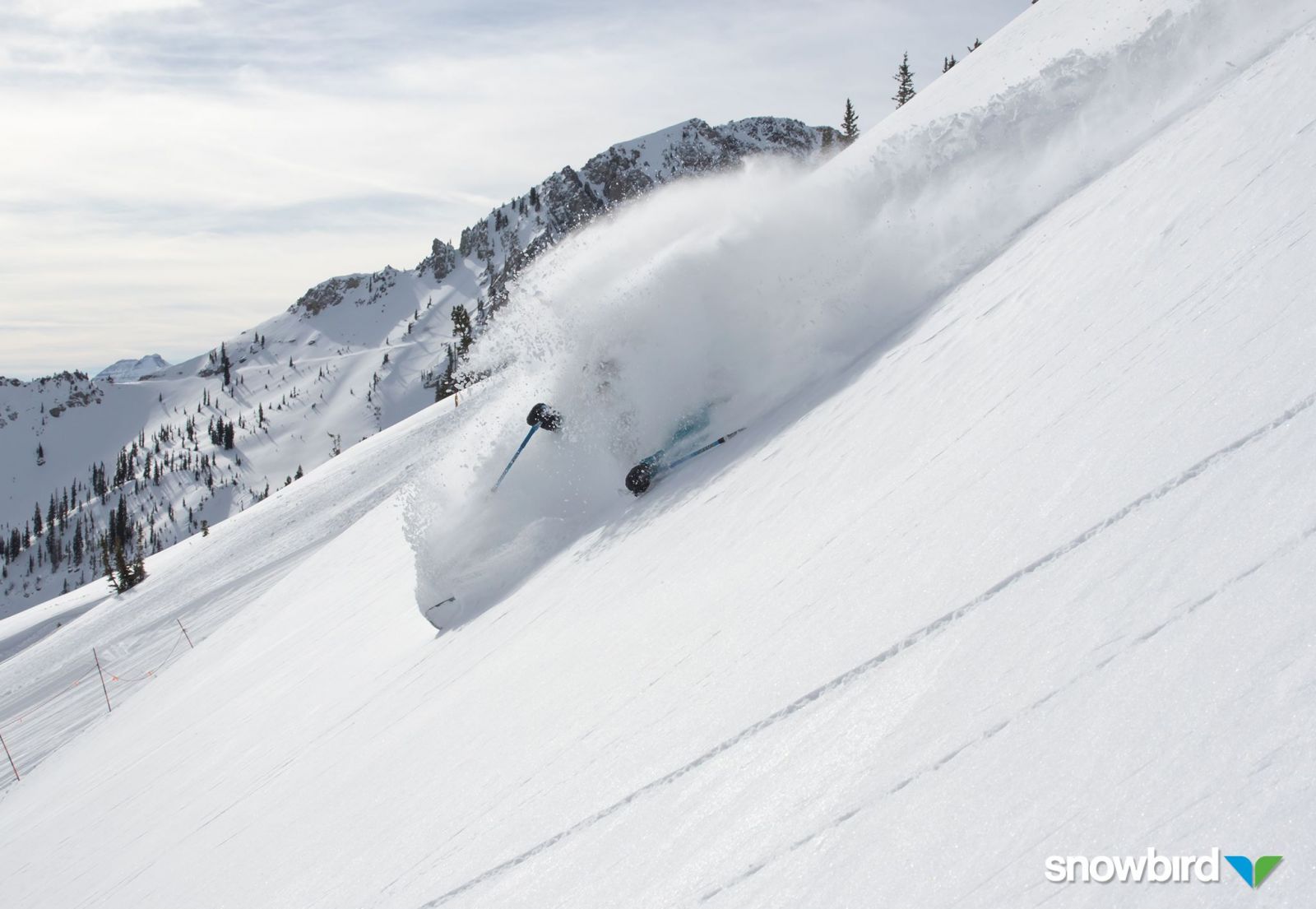 Nothing like the powder snow in Snowbird- Mountain Collective. 16 resorts, 2 days per resort