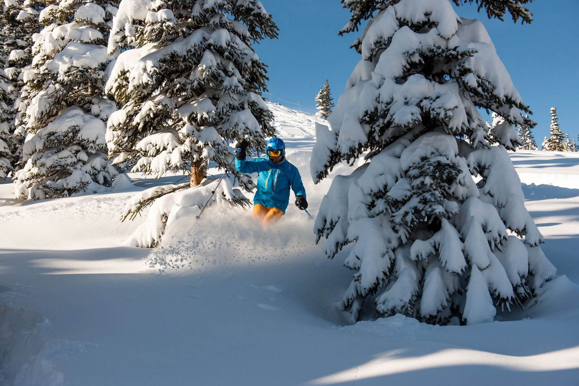 Ski Marmot Basin. Powder Alliance. Several new resorts join the Powder Alliance for 2018-19 ski season: