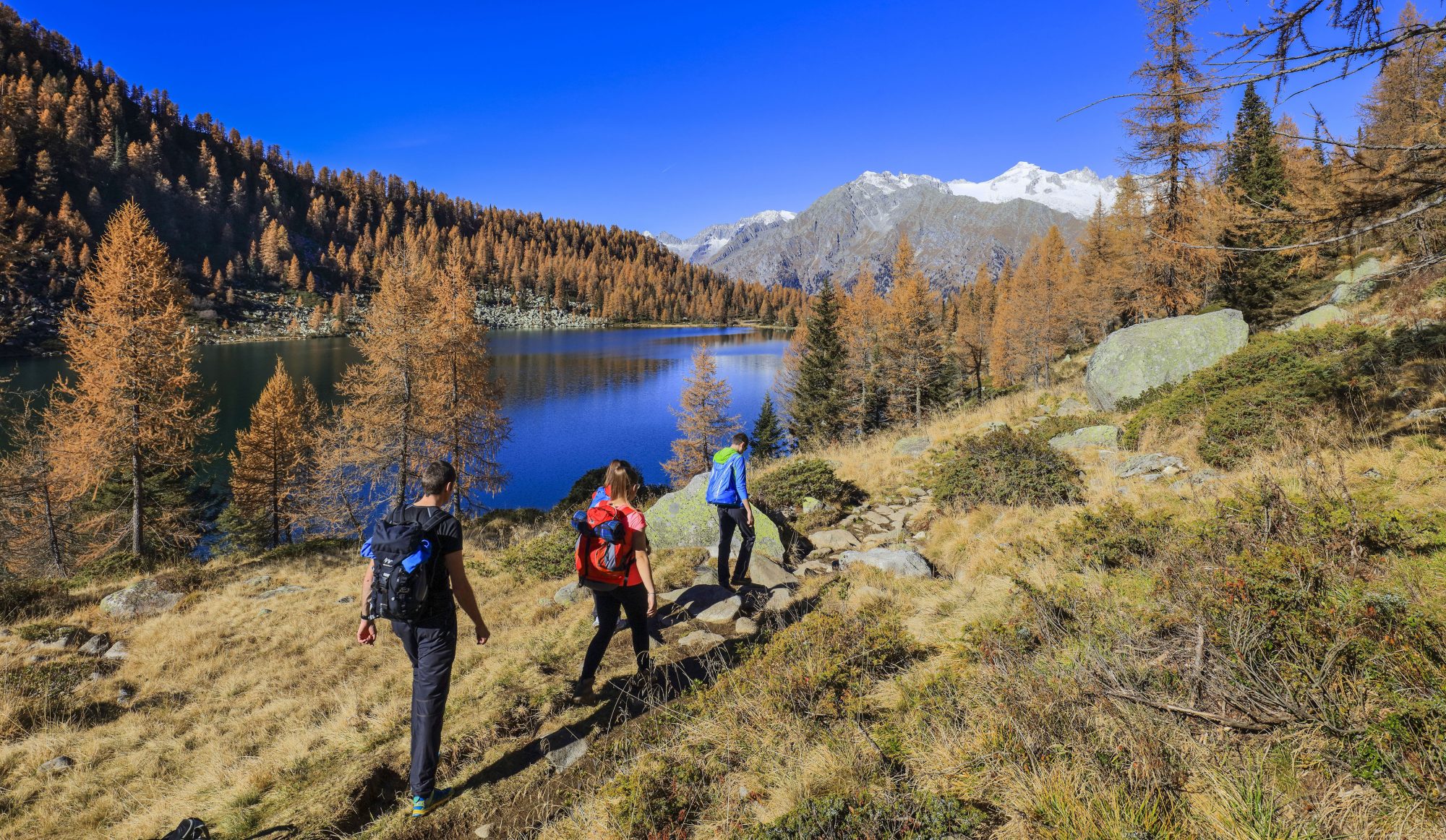 Val Rendena - Caderzone Terme - Rifugio San Giuliano-Fototeca Trentino Sviluppo S.p.A. - FOTO DI Pio Geminiani.