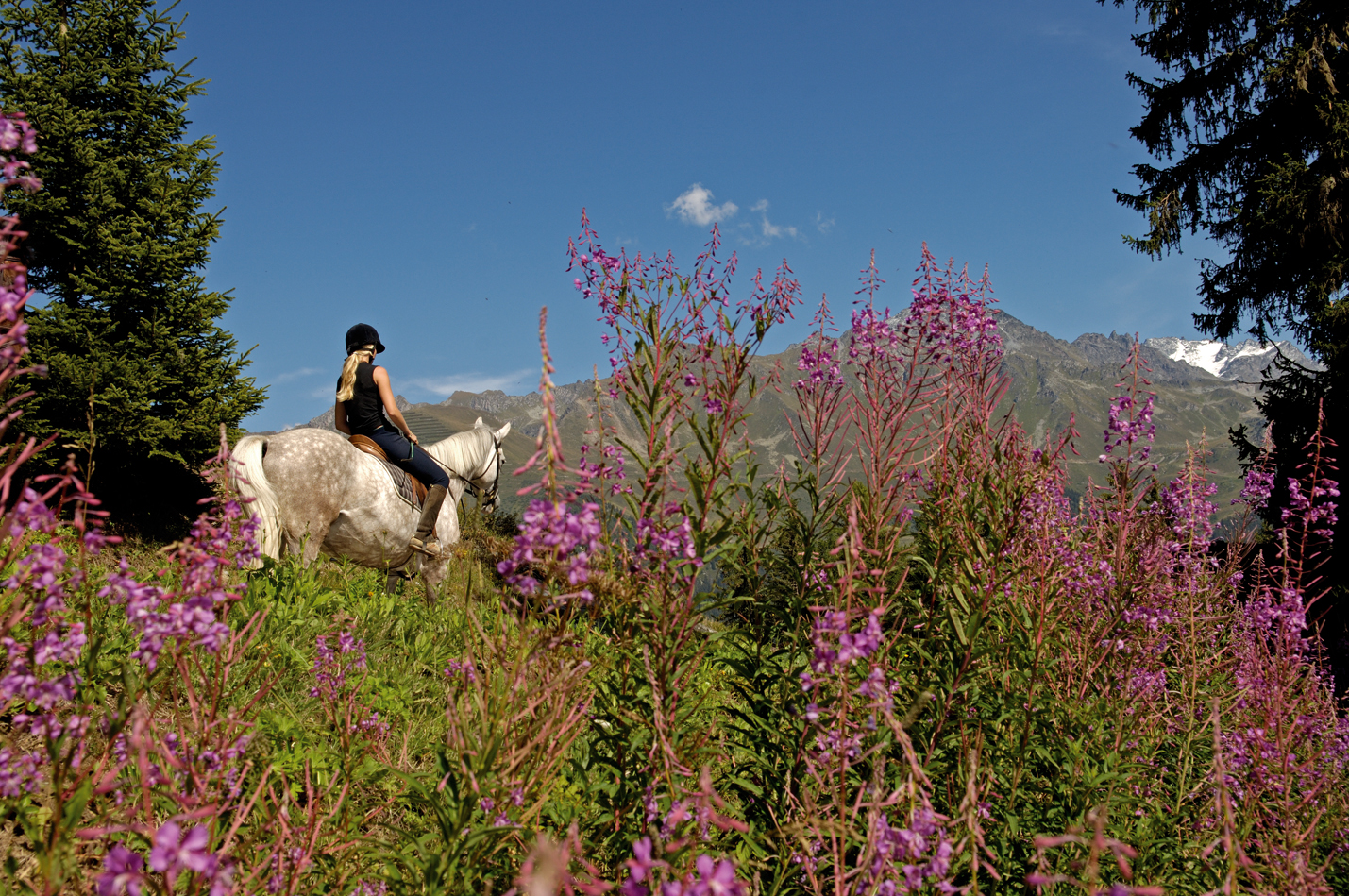 The equestrian centre at Verbier propose different activities: private and group courses of dressage and jumping, riding through the heart of the region, and pony riding for kids. Photo by François Perraudin, Verbier Promotion. Summer News in Verbier. 