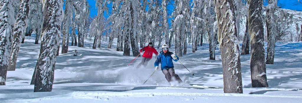 Skiing between forests of lenga trees in Chapelco. Photo courtesy Chapelco Resort. Book your lodging in Cerro Chapelco or Villa La Angostura here.