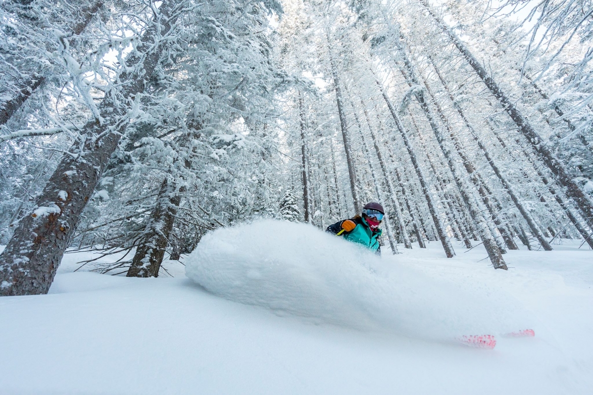 Powder in Taos, now yours if you get the IKON Pass.