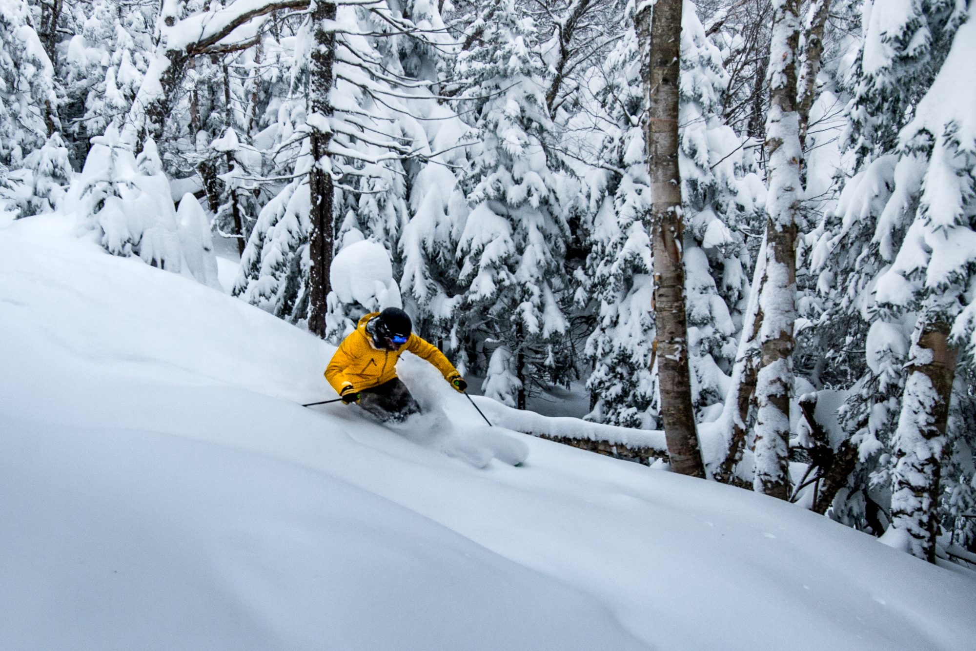 More deep powder skiing at Mount Snow, VT. Peak Resorts.