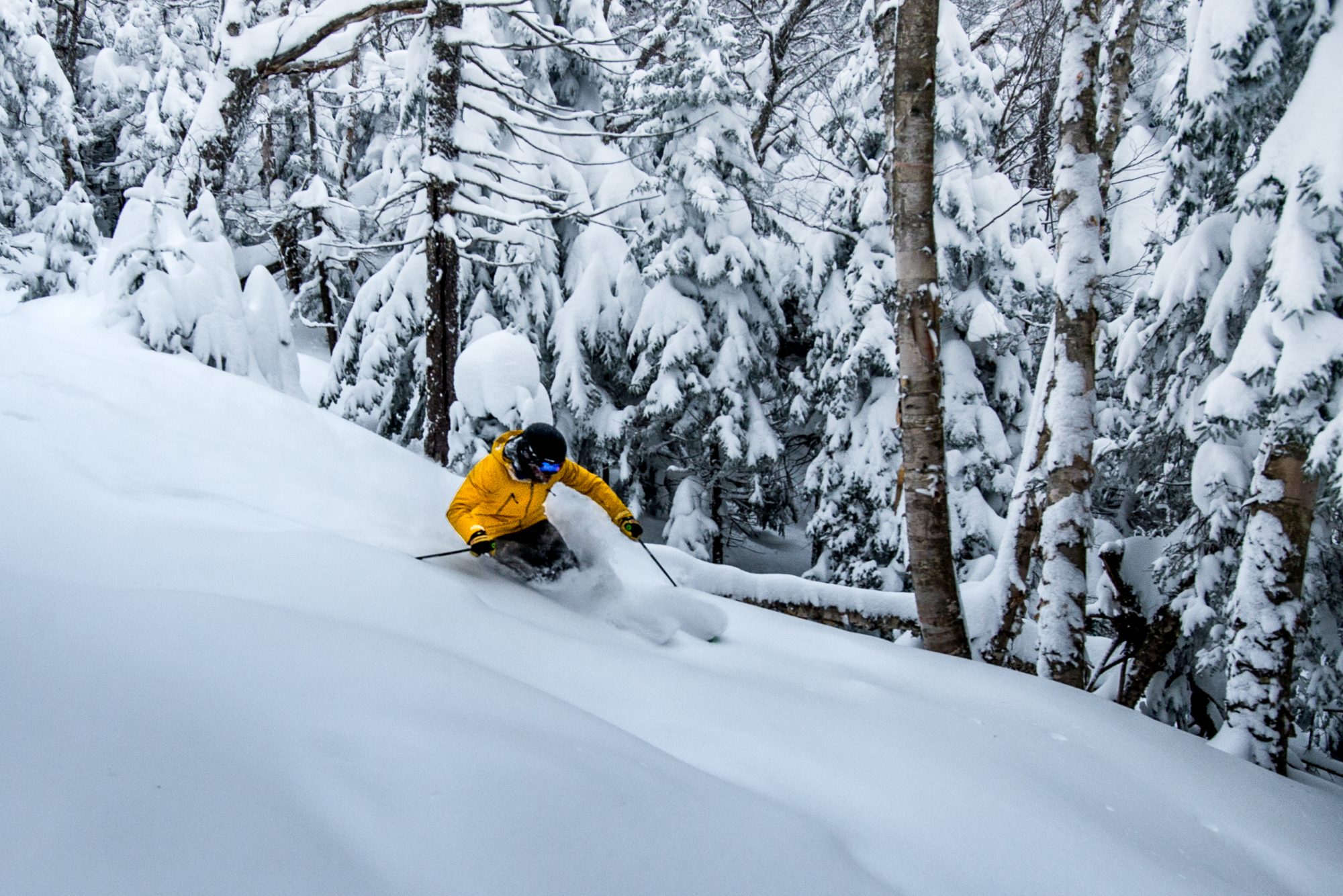 More deep powder skiing at Mount Snow, VT. Peak Resorts. 