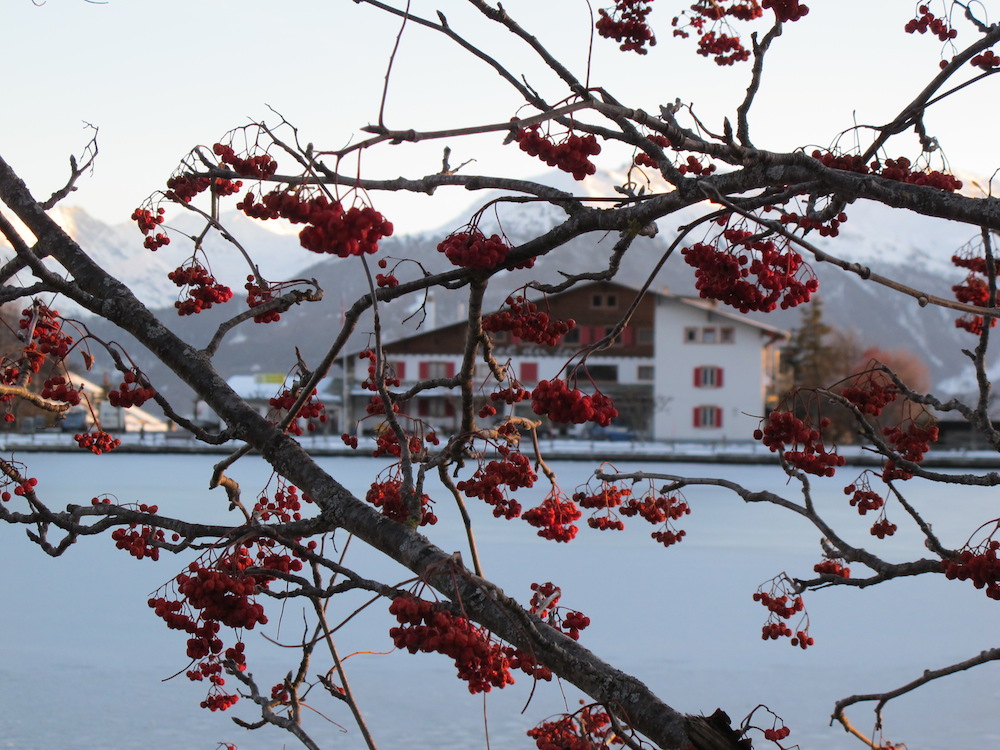 The exterior of the Hotel du Lac, by the frozen lake. 