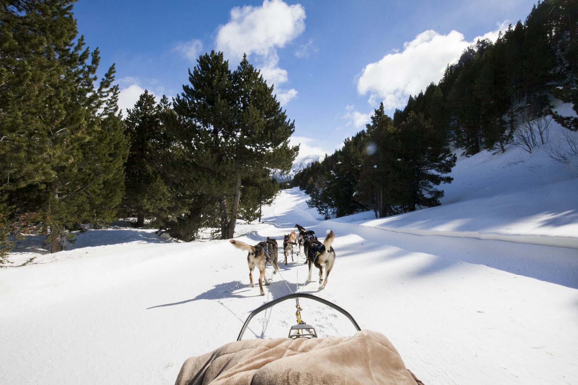Dog sledding in Grandvalira.  The continuity of Grandvalira guaranteed for the long term with the addition of Ordino Arcalís to their skiing experience. - Photo: Grandvalira. 