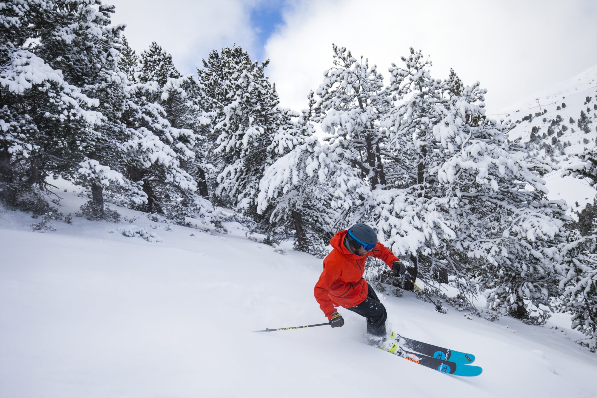 A skier enjoys skiing in powder near the trees. The continuity of Grandvalira guaranteed for the long term with the addition of Ordino Arcalís to their skiing experience. - Photo: Grandvalira. 