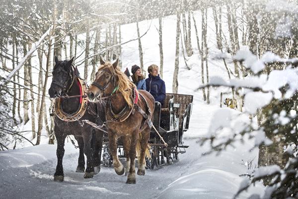 Horse sledding in Hinterglemm. What’s new for the 2018/19-ski season at Skicircus Saalbach Hinterglemm Leogang Fieberbrunn – the home of Lässig. 