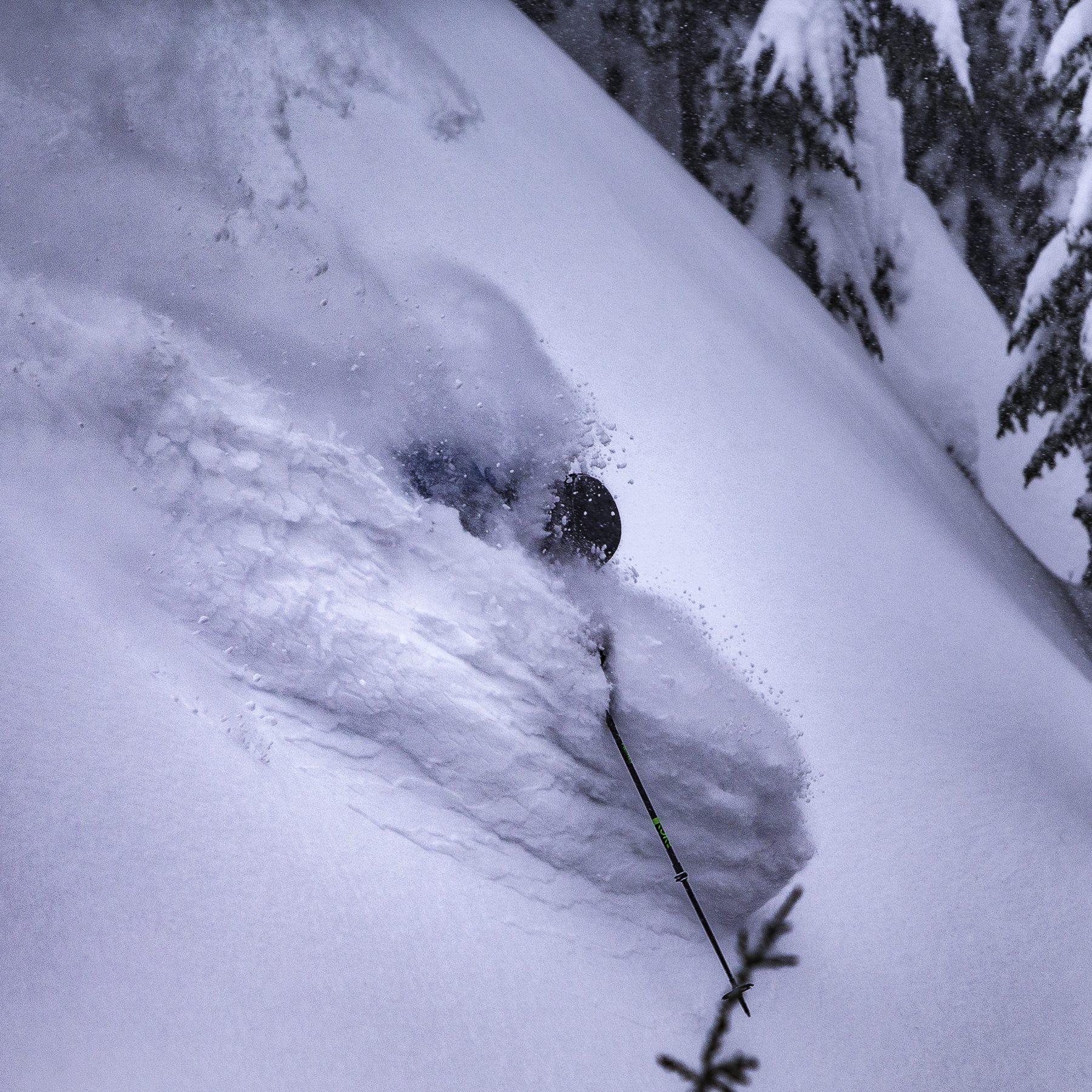 Skier enjoys deep powder after long storm cycle in Whistler Blackcomb. Photo Paul Morrison. Whistler Blackcomb. Vail Resorts. New investments in Whistler Blackcomb to enhance the guest experience will be ready for the 2018-19 ski season.