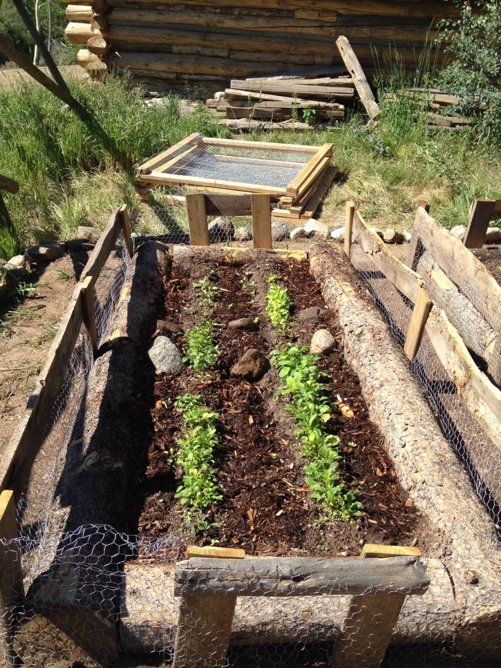 Beano's Cabin in Beaver Creek has its own Garden from where they source their food. Photo: Vail Resorts. Vail Resorts Announces Long-Term Wind Energy Contract And Plan To Eliminate Conventional Single-Use Dining Plastics In Its ‘Commitment To Zero’.