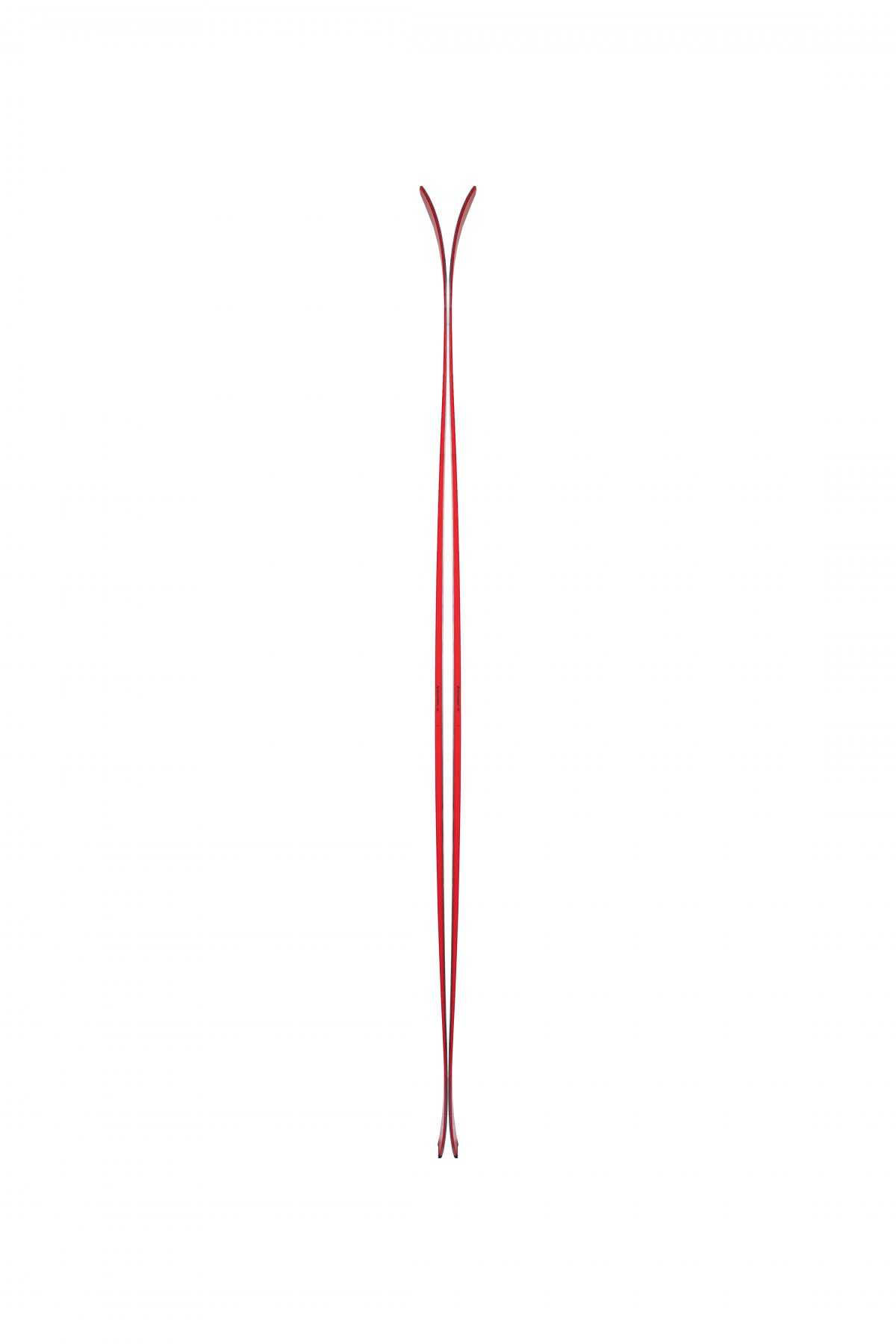 Side of Camox Freebird - What is new with the Black Crows Skis for the 2018-19 ski season.