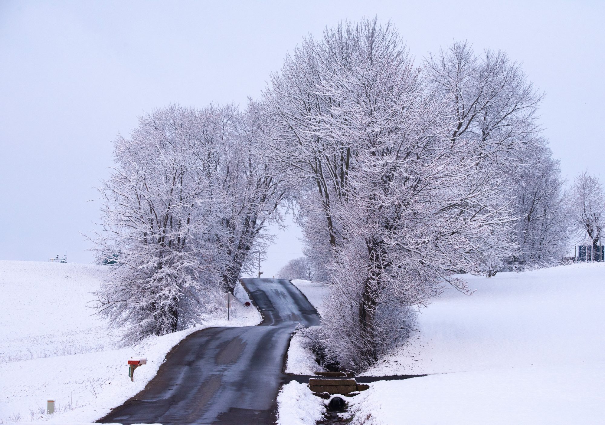 Driving to the Mountains. Pet Travel Scheme. Eurotunnel. Picture Unsplash: Randy Fath