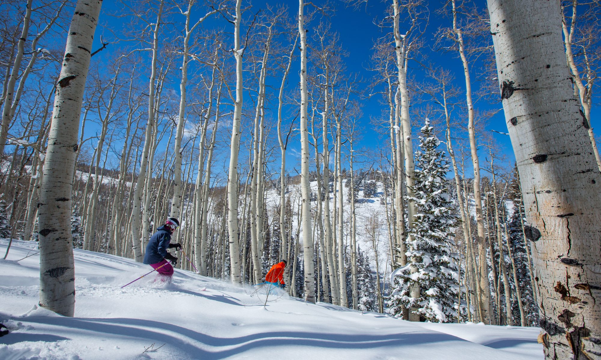 Skiing through the glades at Deer Valley Resort. Deer Valley who was awarded Best US Ski Resort by the World Ski Awards for the sixth year, opens this Saturday December 8th.