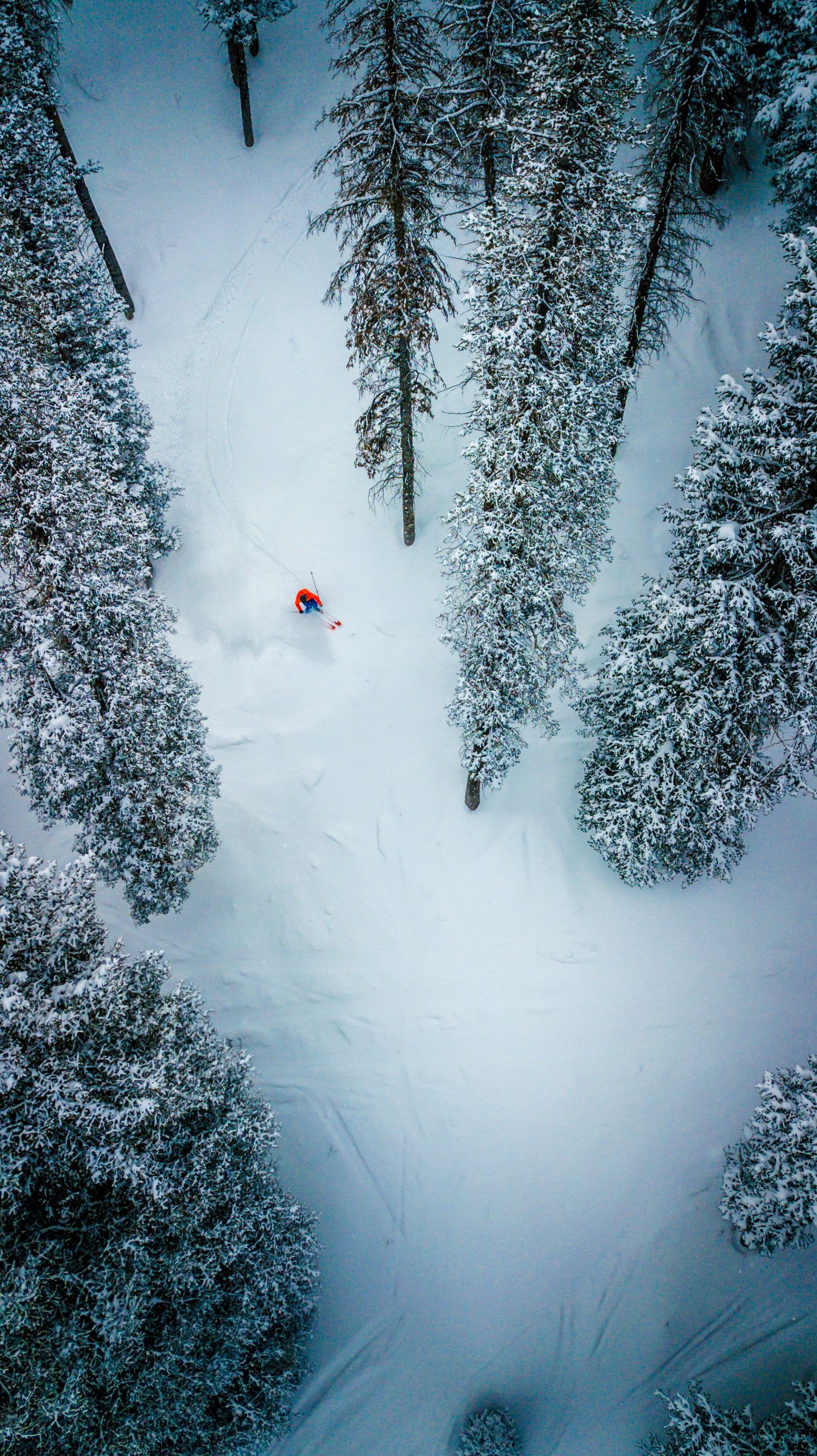 Deer Valley from a drone. Photo: Deer Valley Resort. Deer Valley who was awarded Best US Ski Resort by the World Ski Awards for the sixth year, opens this Saturday December 8th.