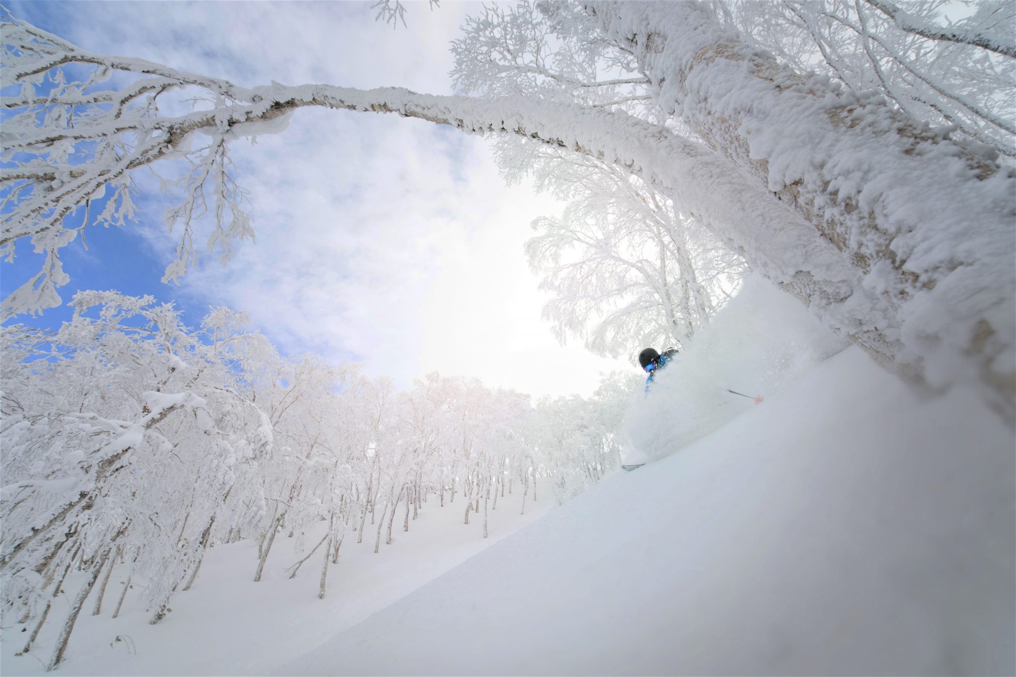 ...but the majority of skiers and boarders go to Japan for the powder! Rusutsu, the Japanese Resort joins the EPIC Pass for the 2019-20 ski season. 