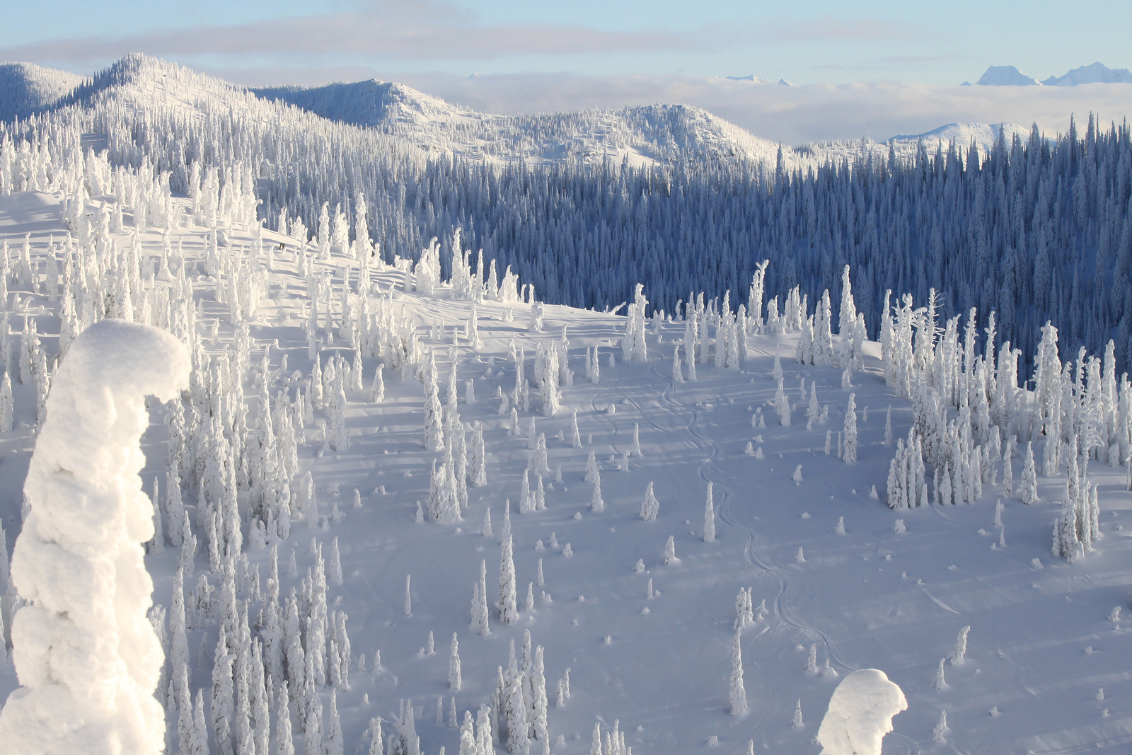 Whitefish - East Rim Tracks. X3. Photo: Whitefish Mountain Resort. Whitefish Mountain Resort got 140 people evacuated from chairlift.
