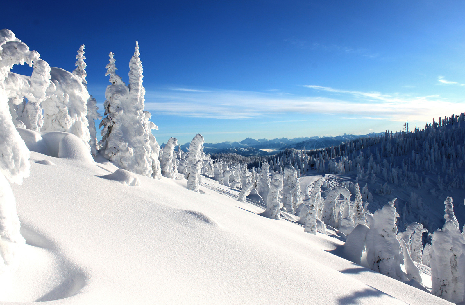 Whitefish Radio Tower View. Photo: Whitefish Mountain Resort. Whitefish Mountain Resort got 140 people evacuated from chairlift.