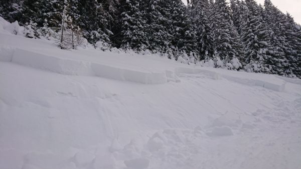 Fig. 6: Slab avalanche on a forest clearing at around 1540 m. The avalanche was observed at the Ronämeder (Davos, GR) on a northwest slope. The type of triggering is unknown (Photo: H. Gutschmidt, 06.01.2019). SLF photo. Avalanches claimed two lives in Switzerland due to dangerous conditions. 