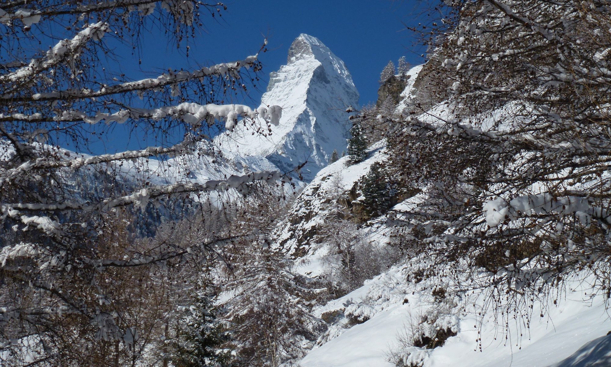 The New Address in Zermatt – Chalet Zen, photo courtesy of Chalet Zen.