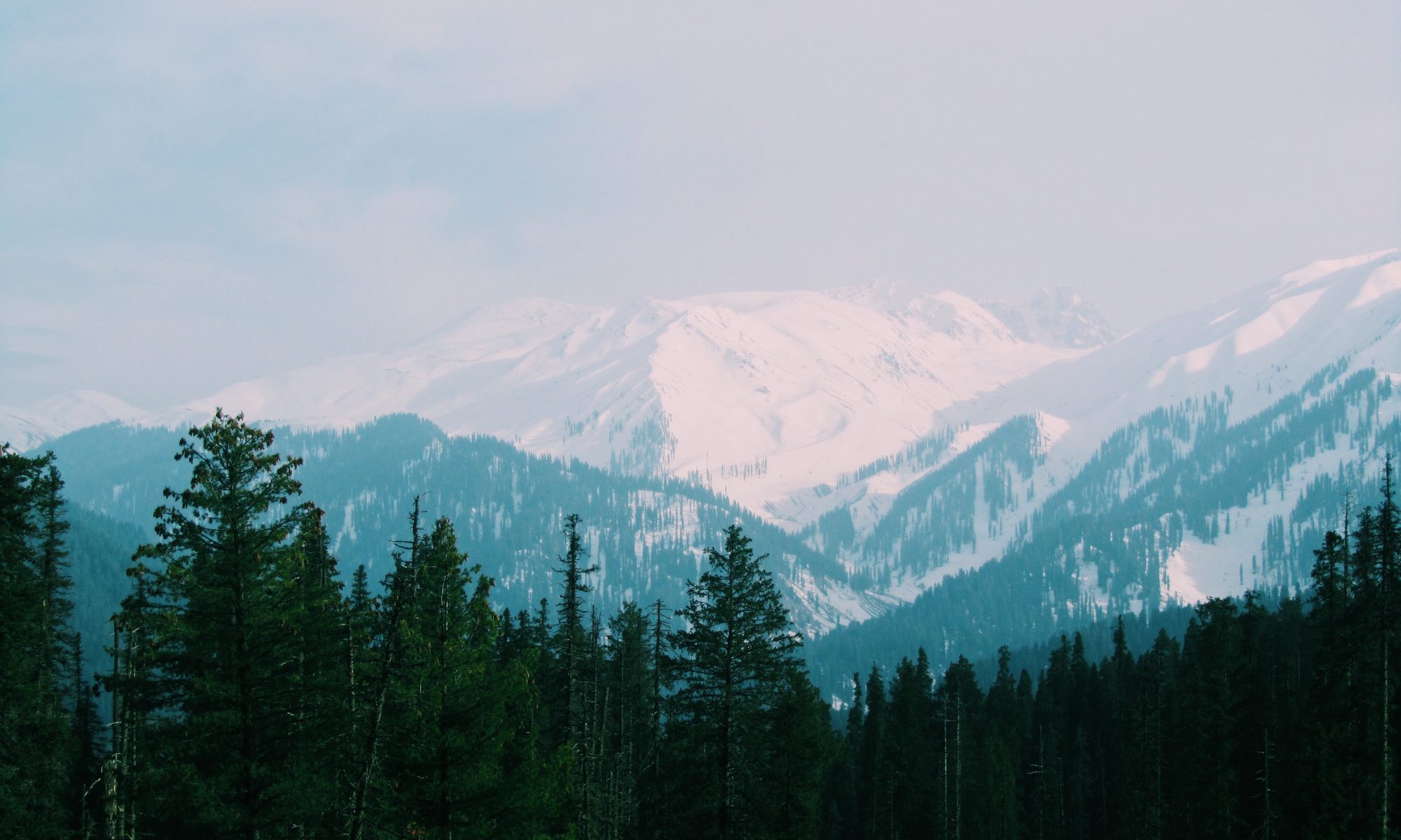 Gulmarg- Unsplash photo by Anjali Mehta. Jammu (Gulmarg) Cable Car Accident: 2 workers died and four injured.