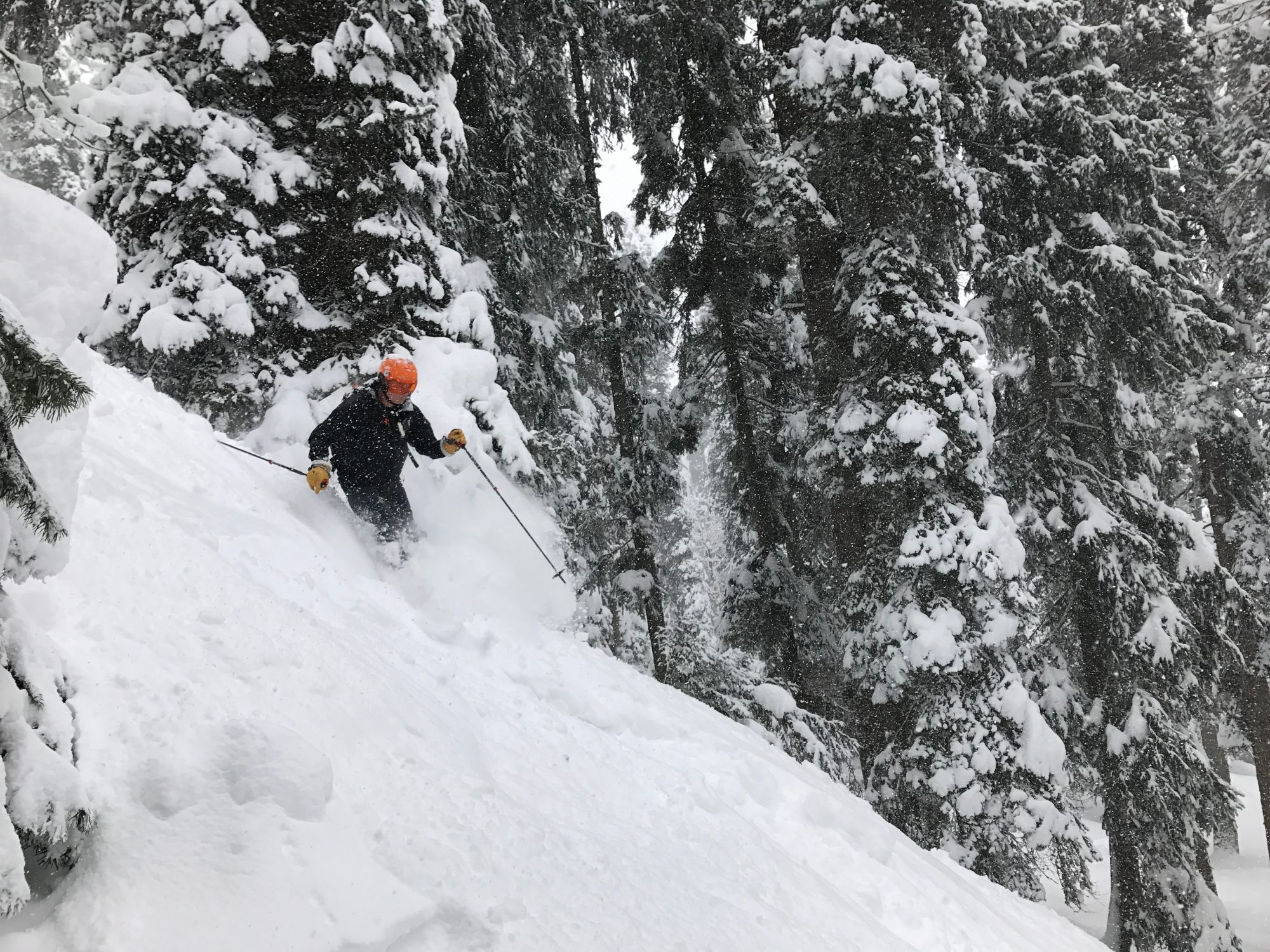 A skier in the Gulmarg. Photo by Christian Ter Maat. Unsplash. Jammu (Gulmarg) Cable Car Accident: 2 workers died and four injured.