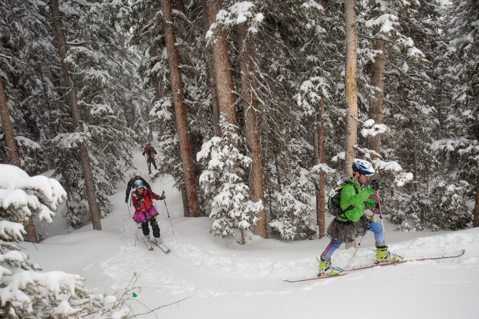 Racers in Aspen Highlands by the forests. Photo: Aspen Skiing Company. Audi Power of Four Ski Mountaineering Race Mar. 2-3. New United States Ski Mountaineering Association National Championship.