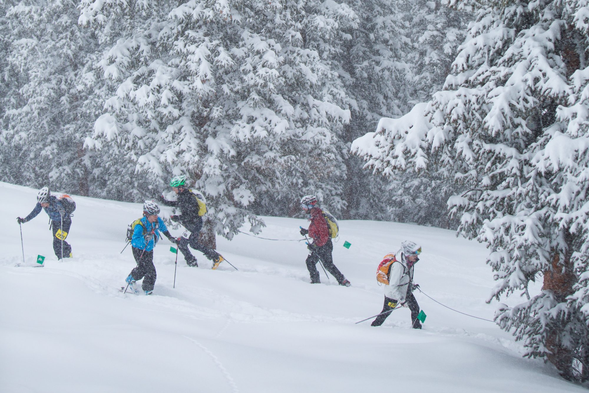 Racers in Aspen Highlands. Photo: Aspen Skiing Company. Audi Power of Four Ski Mountaineering Race Mar. 2-3. New United States Ski Mountaineering Association National Championship.