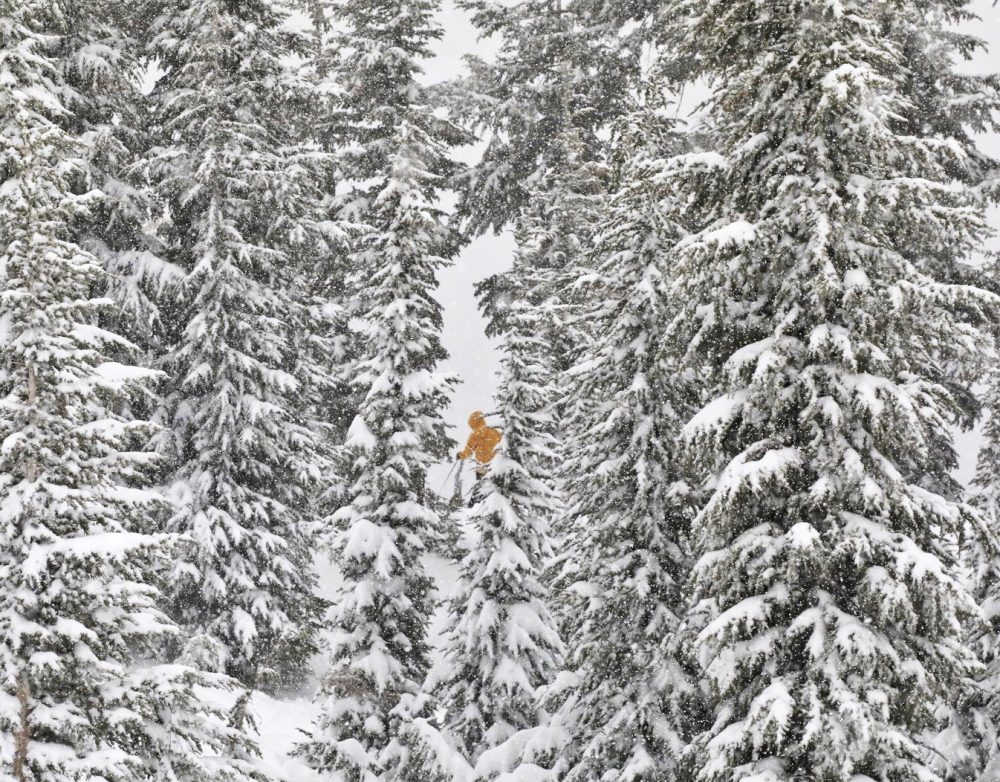 Snowy trees in Kirkwood. Photo: Elizabeth Biebl. Heavenly, Northstar, and Kirkwood Resorts Announce Extended Ski Season.