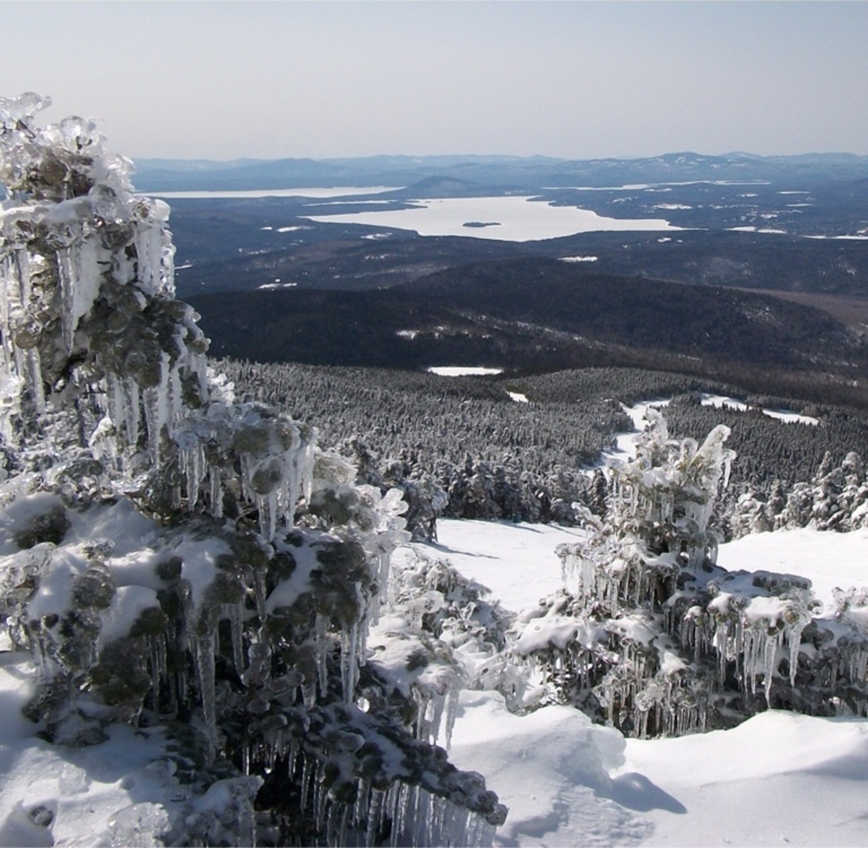 Saddleback ski area might get back in business with another new prospective buyer.