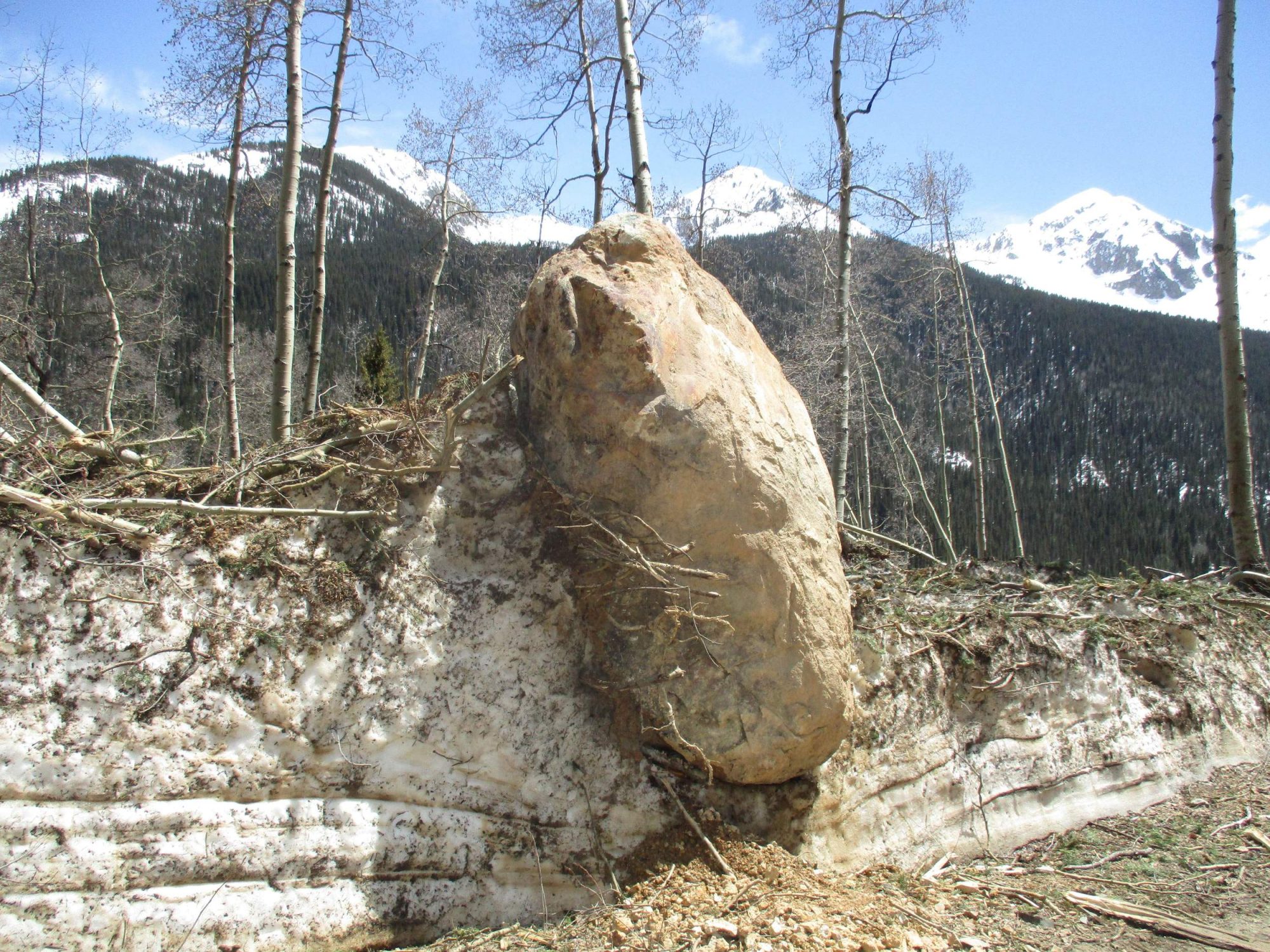 A 9 by 6 foot boulder came down an avalanche path this winter resing along the Boulder Gulch Trail. Photo by Mark Esper. Silverton Standard Miner. Durango Herald. Due to a year of lots of avalanches, summer operations might be delayed as digging out will take time.