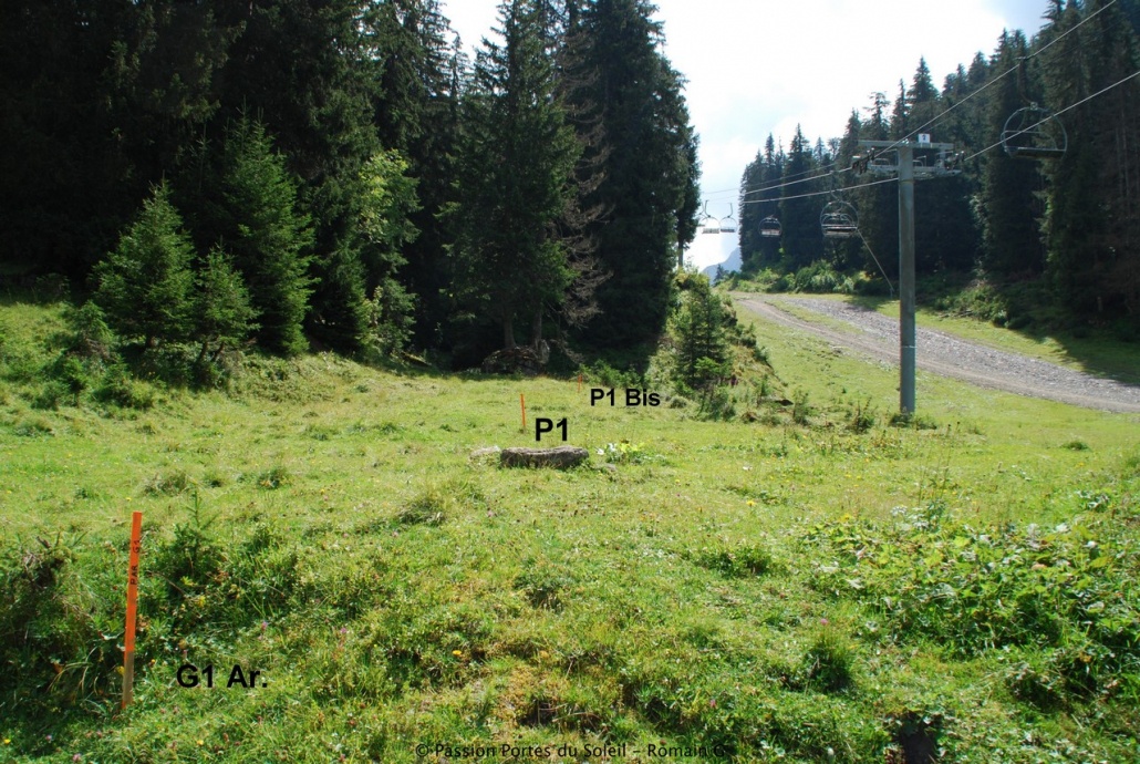 Pylons number 1 and 1 Bis of the Sextuple high speed detachable lift Léchère. Avoriaz. Photo: Remontees Mecaniques Forum. New lifts and piste for Portes du Soleil for the 2019-20 ski season.