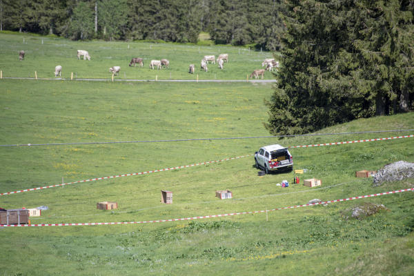 The accident site closed off by the police after an accident during the inspection of the Titlis cable car between Engelberg and Stand, on Wednesday, June 5, 2019, in Engelberg, Switzerland. (KEYSTONE/Urs Flueeler) A lift employee has died and six were injured in an accident while maintaining a lift from Titlis Bergbahnen. 