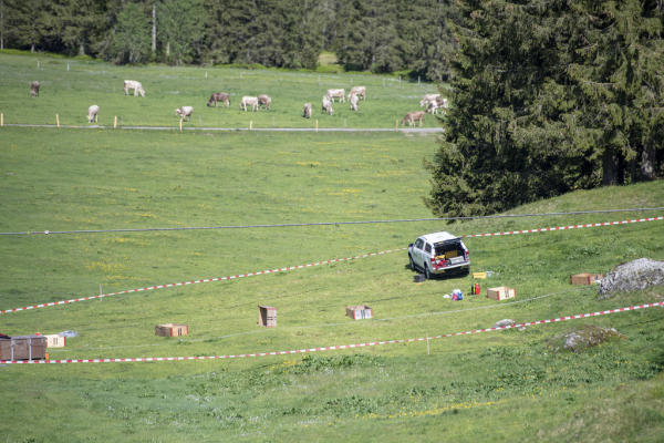 The accident site closed off by the police after an accident during the inspection of the Titlis cable car between Engelberg and Stand, on Wednesday, June 5, 2019, in Engelberg, Switzerland. (KEYSTONE/Urs Flueeler) A lift employee has died and six were injured in an accident while maintaining a lift from Titlis Bergbahnen.