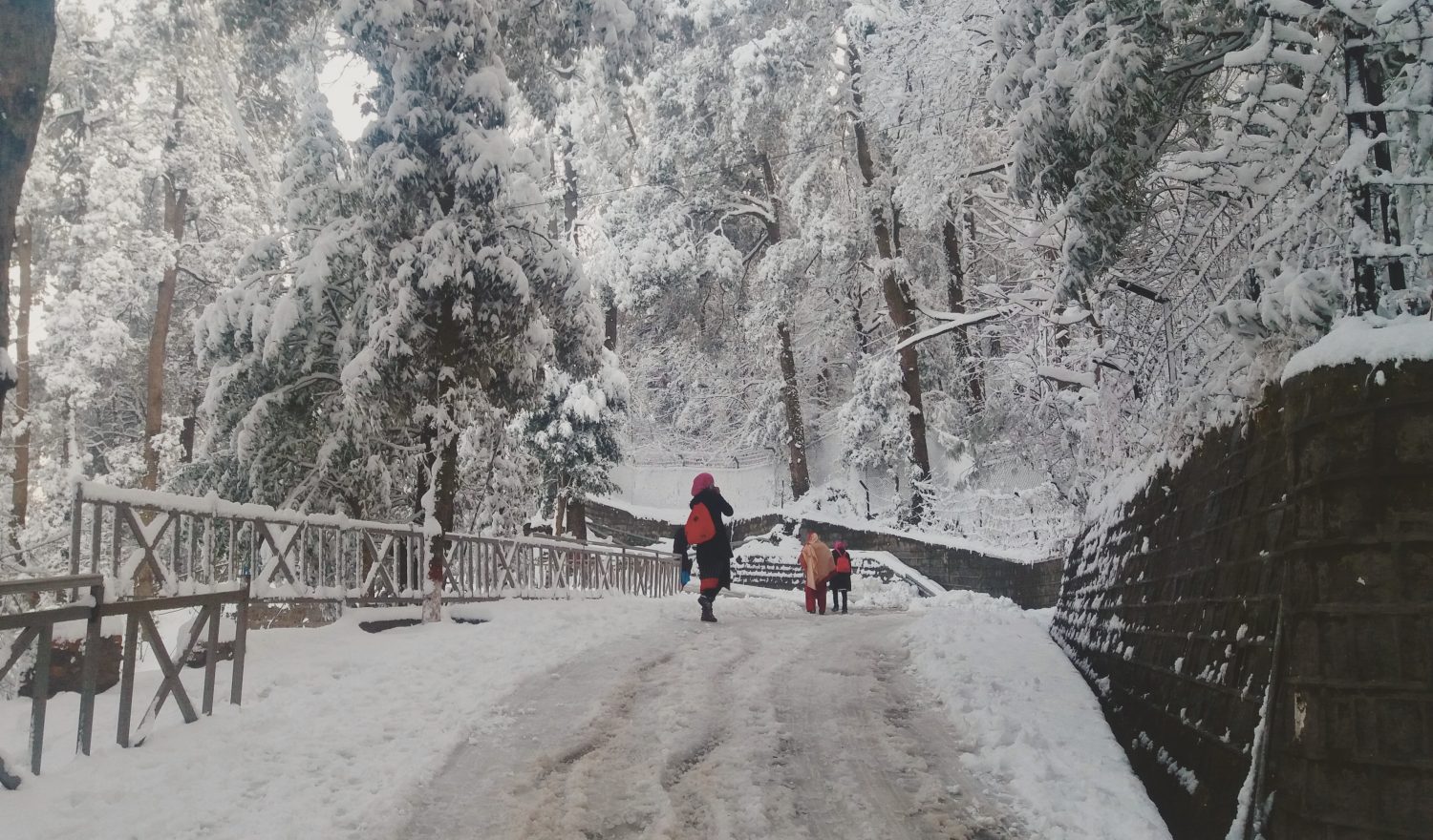 The Patriata chairlift rescue operation was completed after 10 hours. Muree, Pakistan. 