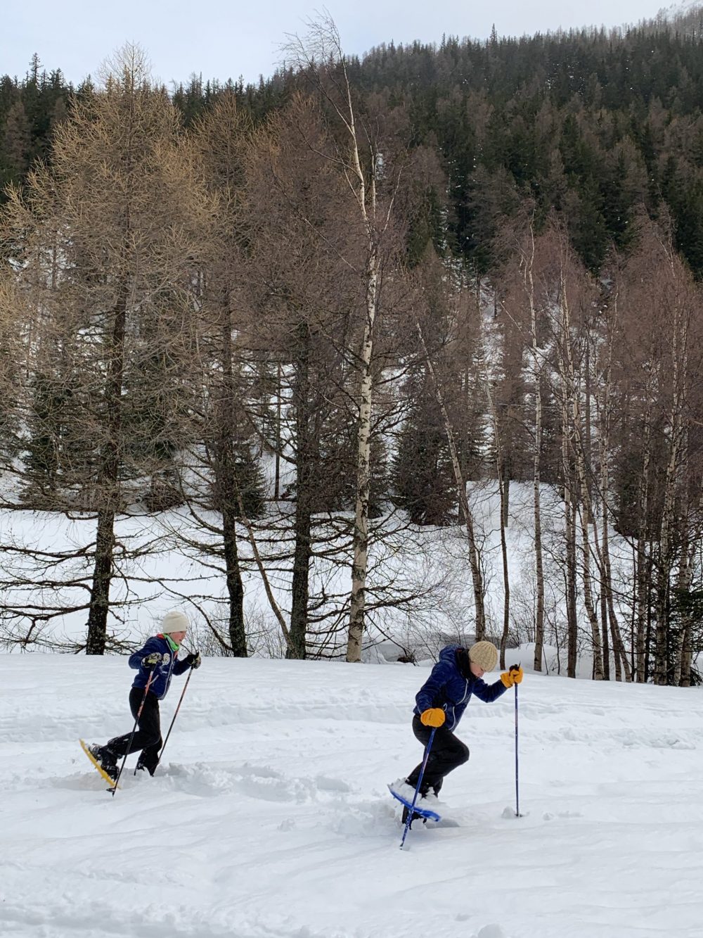 The boys snowshoeing at Arpy. Our Christmas holidays in the mountains with the kids and our dog! Courmayeur, Aosta.