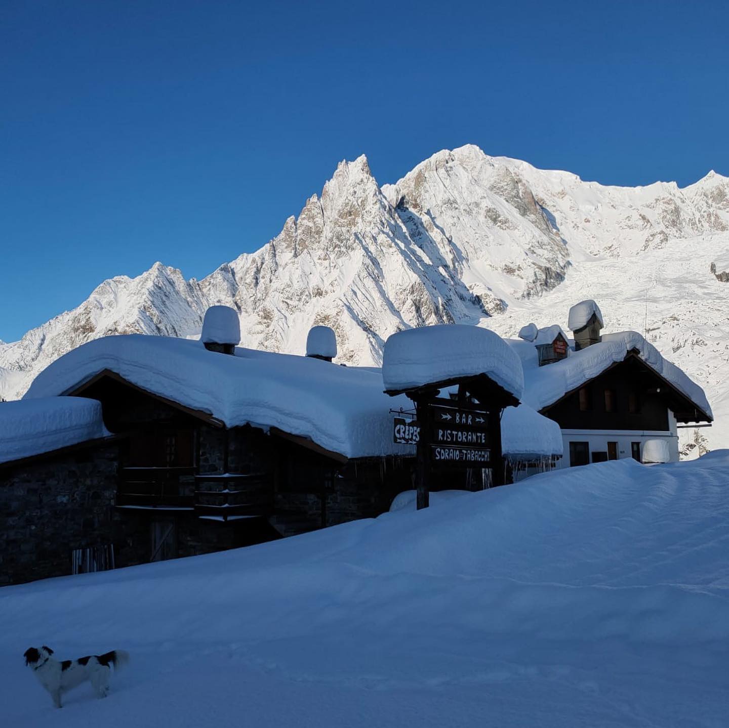 Prè-de-Pascal. A Foodie Guide to on-Mountain Dining in Courmayeur.