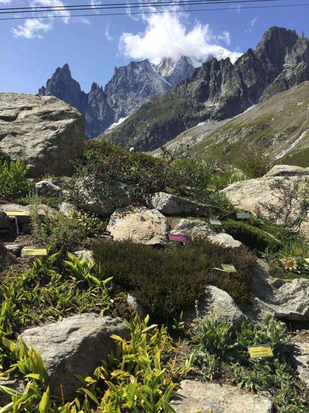 The Saussurea botanical garden goes up through a path up the mountain. I recommend going to see it, it is included with your ticket of Skyway Monte Bianco. Aiguille du Midi vs Punta Helbronner – which one you should do?