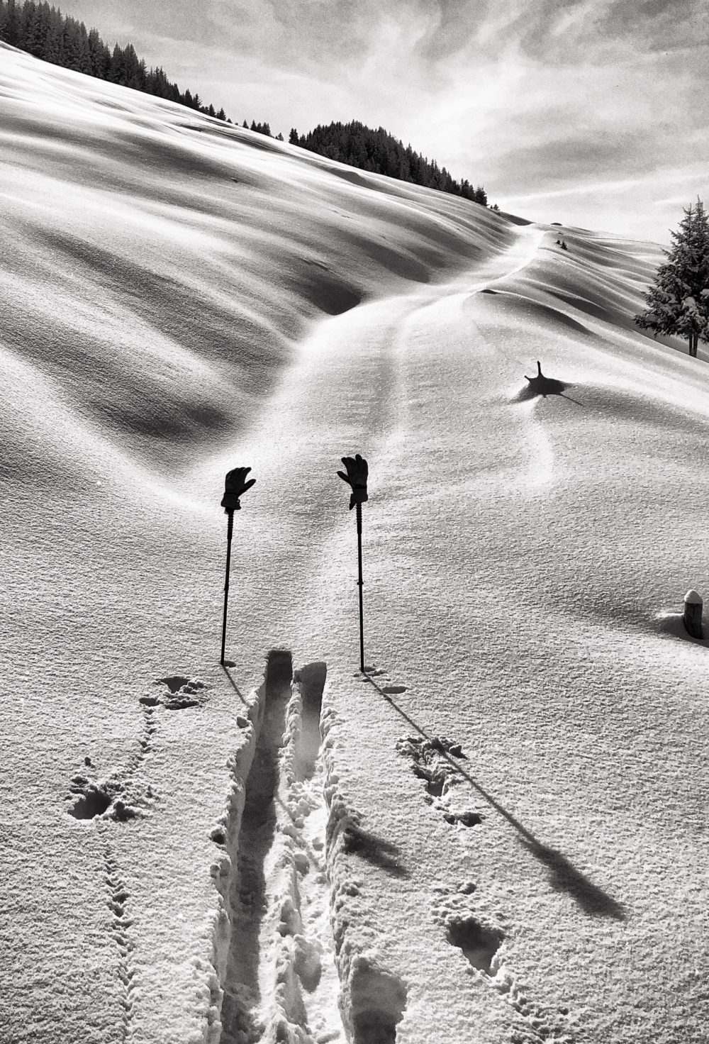 Rando trace and ski poles. Copyright: Courchevel Tourisme. Courchevel’s plans to reopen in the summer season.
