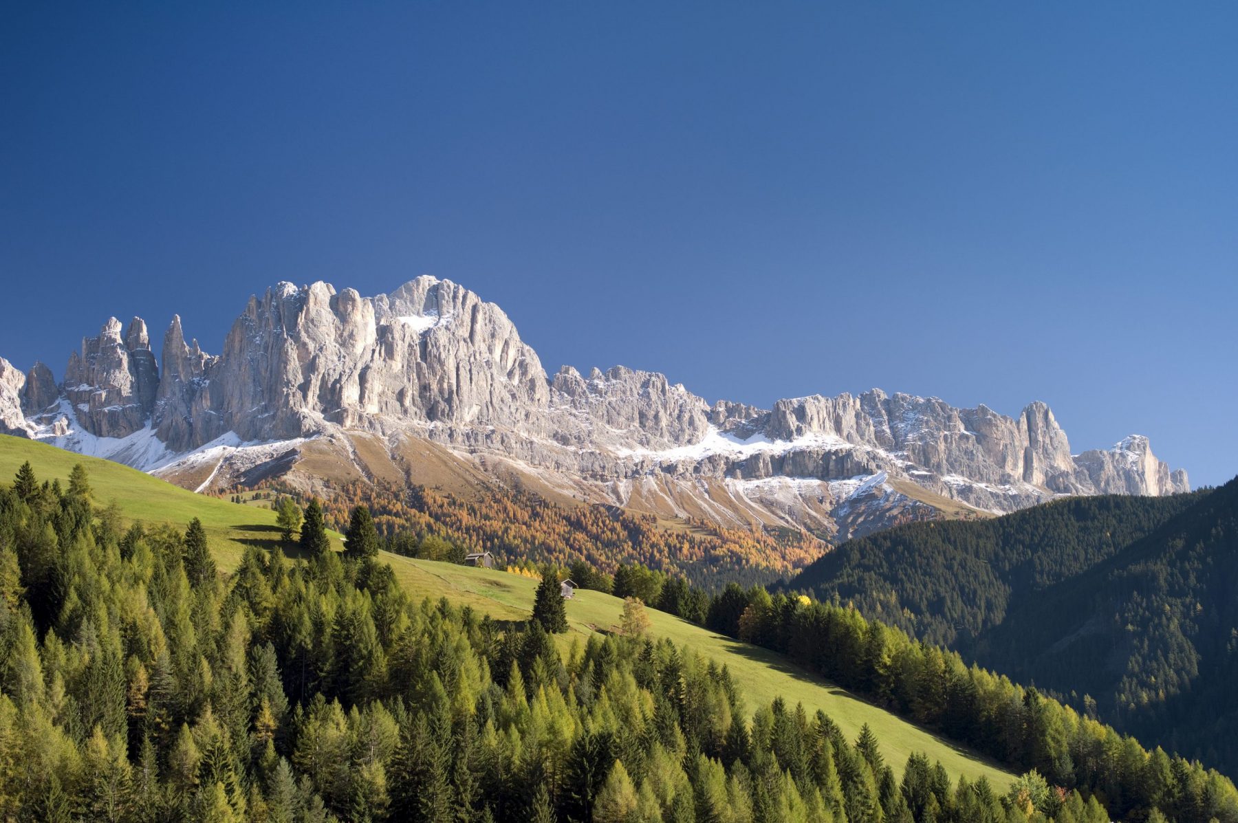 Copyright: IDM South Tyrol / Clemens Zahn. From St. Zyprian in Eggental there is an impressive view of the rose garden, here against a clear blue sky. A Must-Read Guide to Summer in South Tyrol.