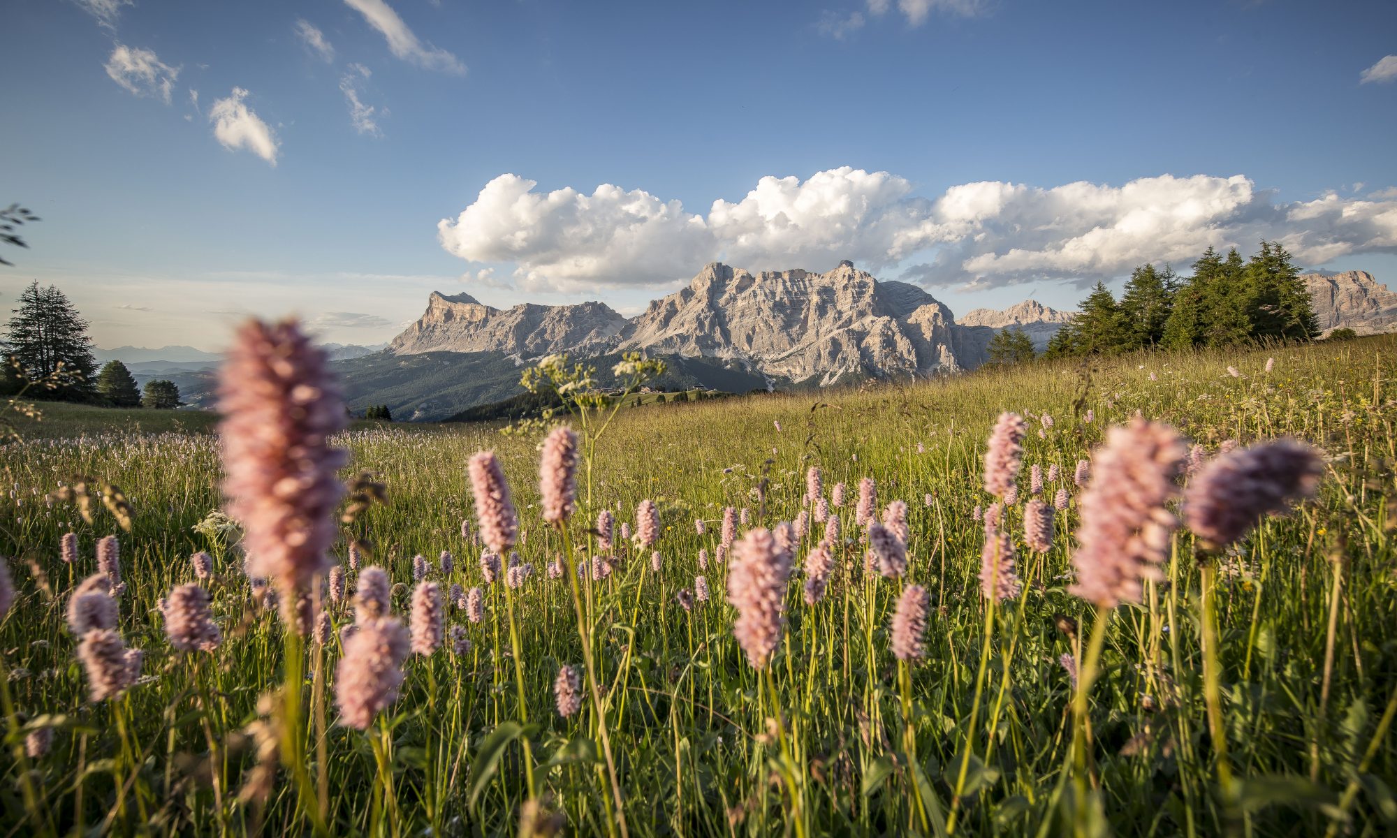 Alta Badia. Sas dla Crusc Lavarela. Photo: Ffreddy Planinschek. Alta Badia Tourism Office. Planning your summer in the mountains of Alta Badia.