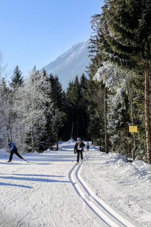 Resorts in France will not be allowed to open their lifts but guests will be able to enjoy the great outdoors. Photo: Chamonix - Ski de Fond- S. Abrial. OT- Vallée de Chamonix. Swiss urged to 'hit the slopes' to save ski season. The situation for skiing in December in the rest of Europe.