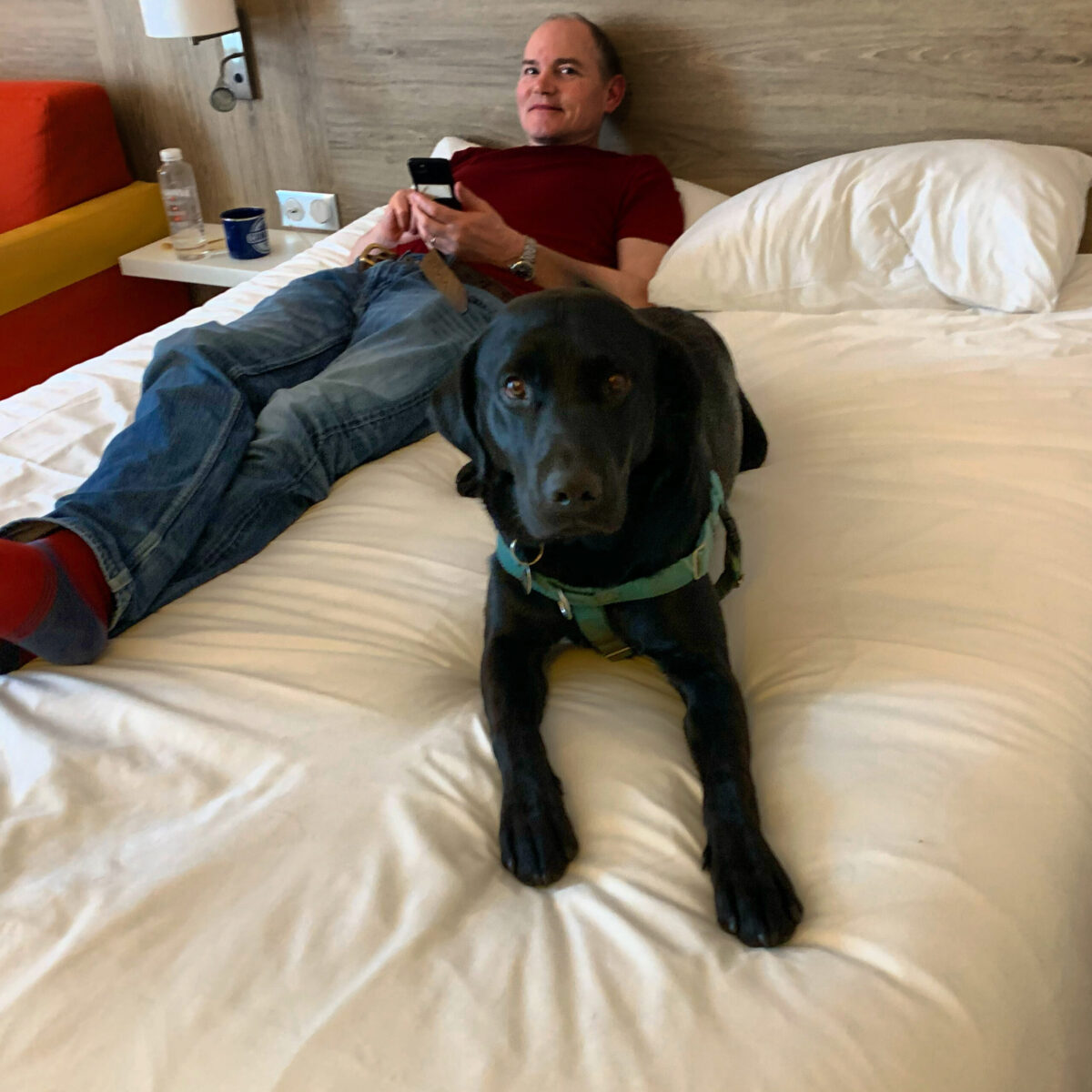 At the Ibis Styles in Chaumont. Ozzy seemed very comfy on the bed. The Drive to Our Summer Holiday on Covid-19 Times.