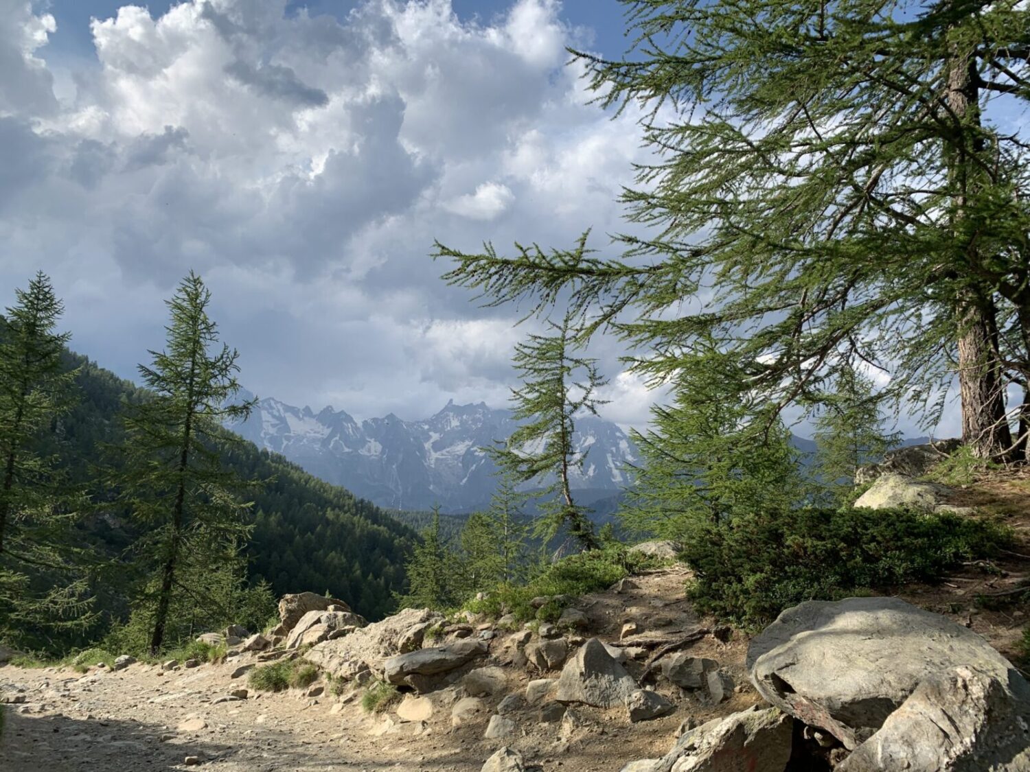 The Catena di Monte Bianco viewed from sentiero 15 in our walk to Lago d' Arpy. Photo: The-Ski-Guru. Family trek to Lago d' Arpy, Morgex, AO.